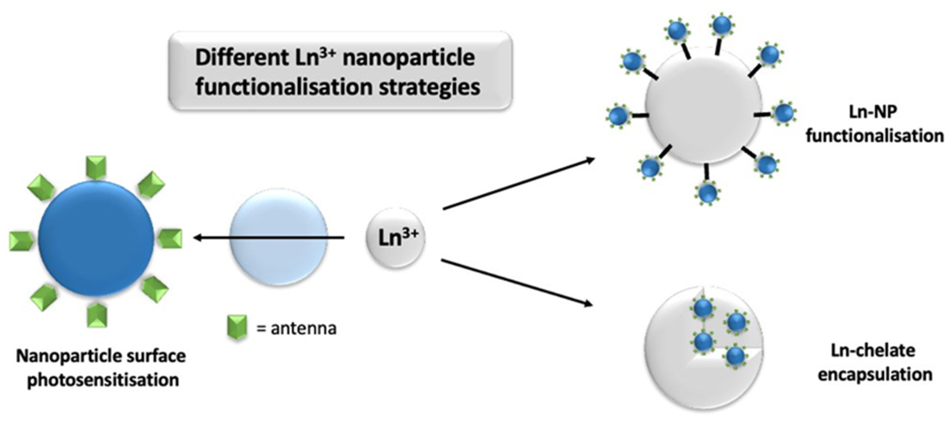 Molecules 29 00688 sch009