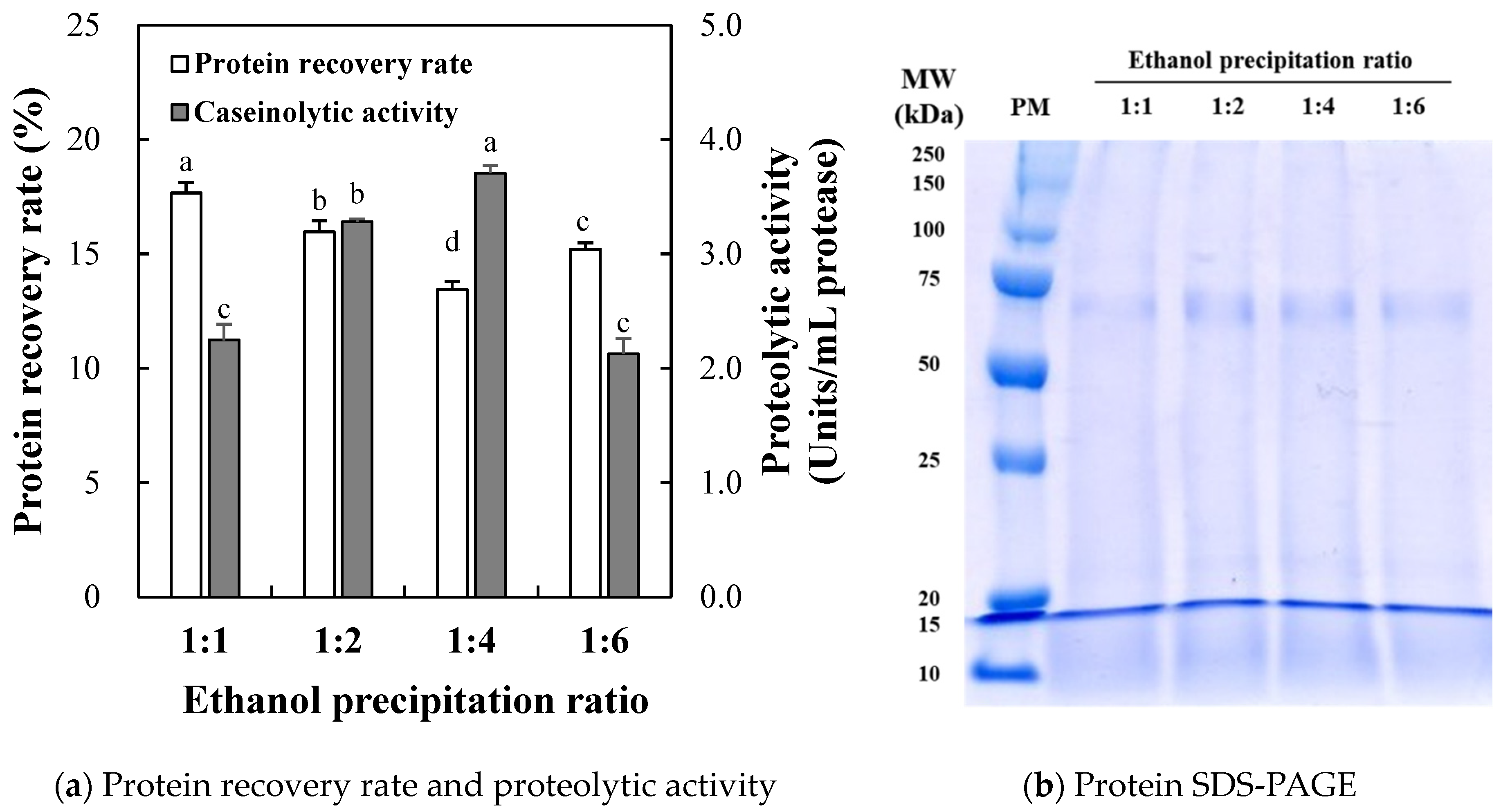 Molecules 29 00693 g001
