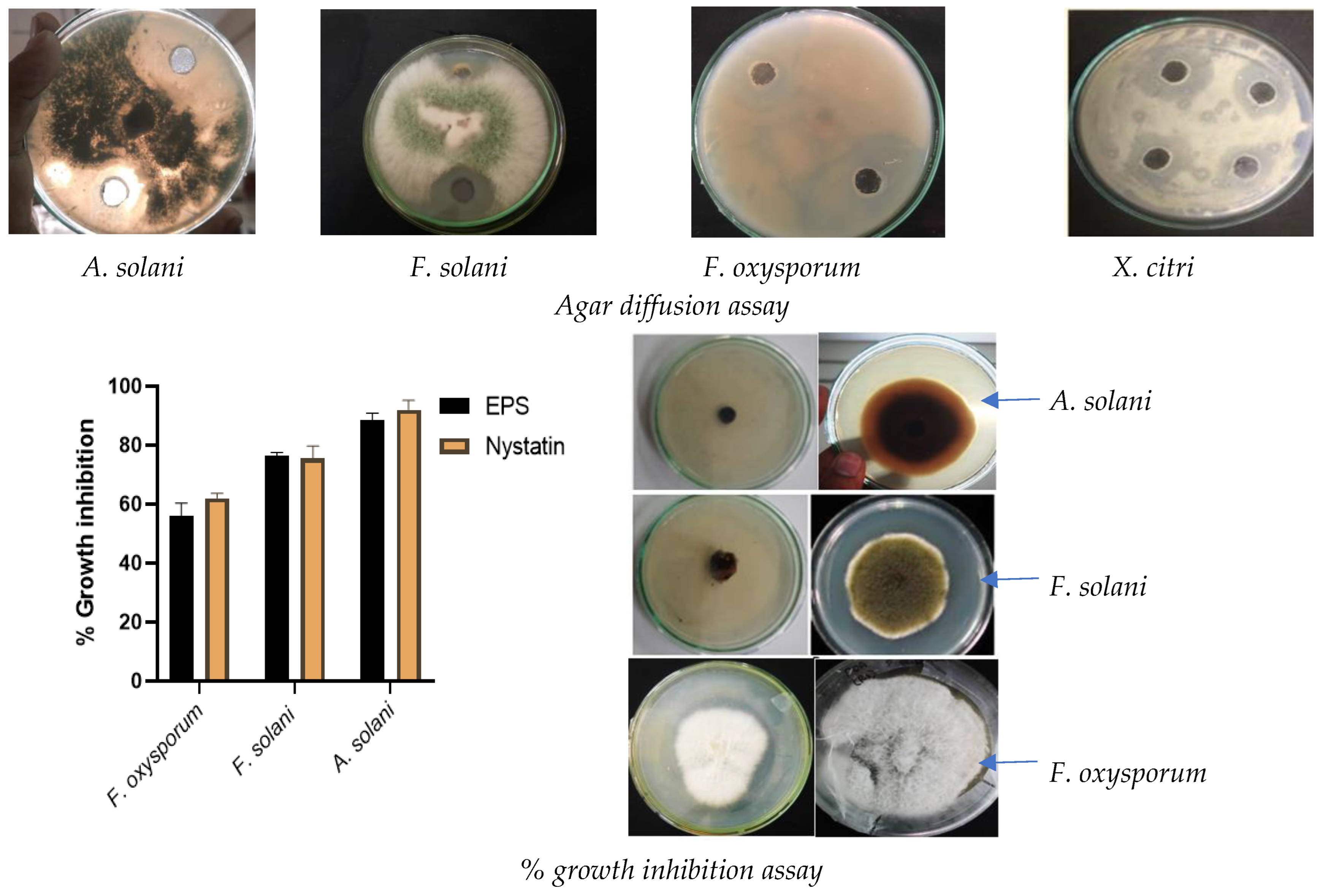 Molecules 29 00695 g002