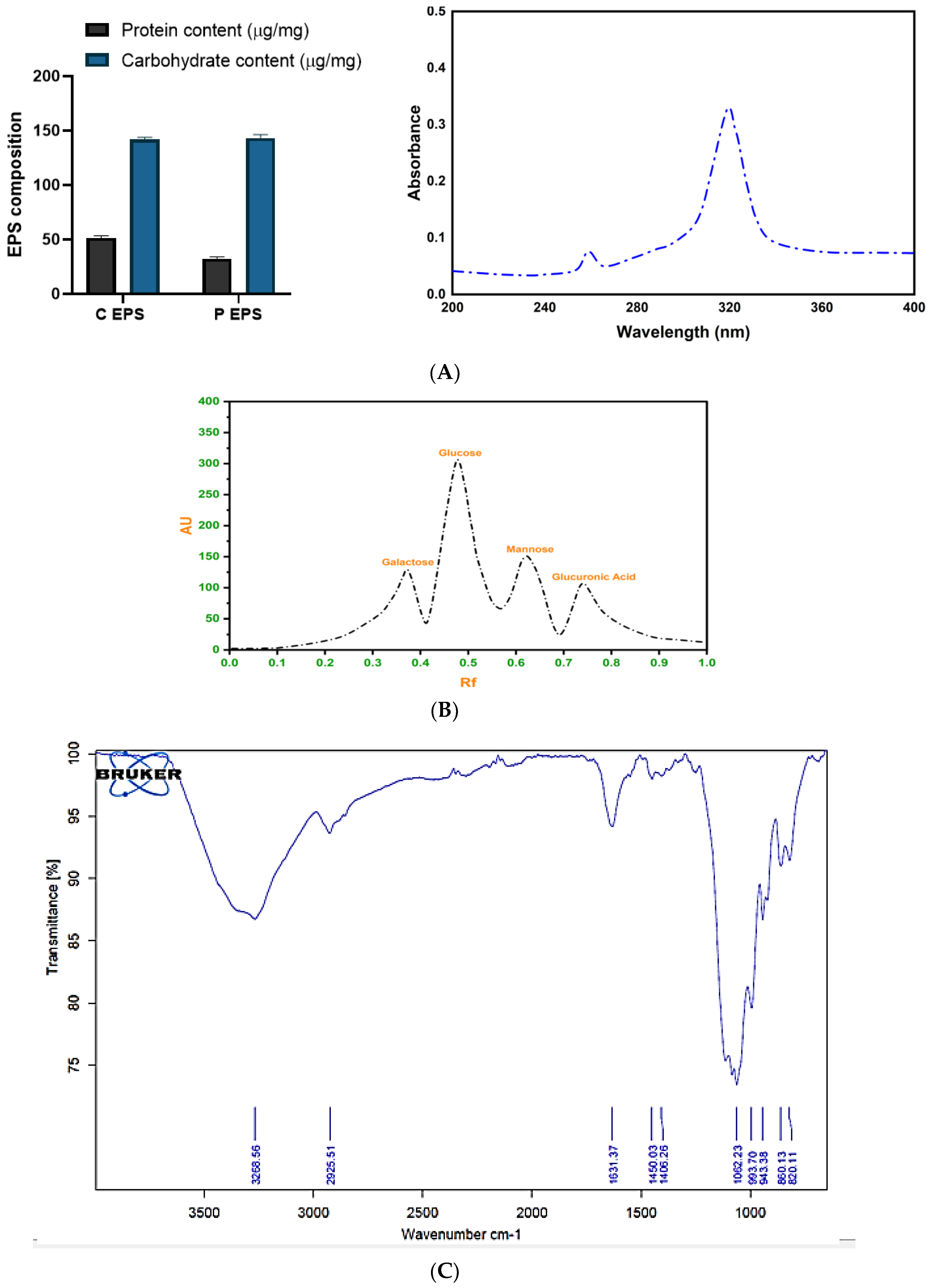 Molecules 29 00695 g011