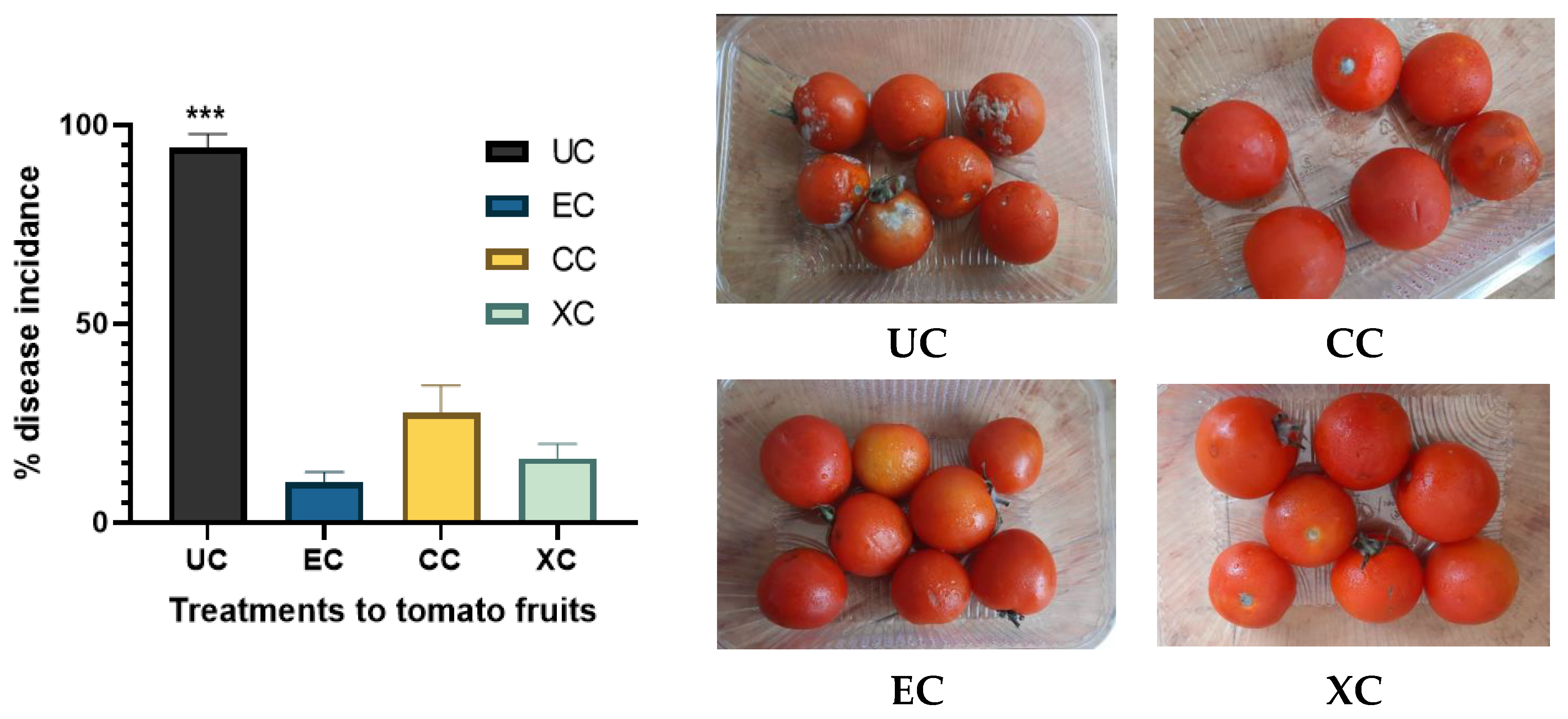 Molecules 29 00695 g015