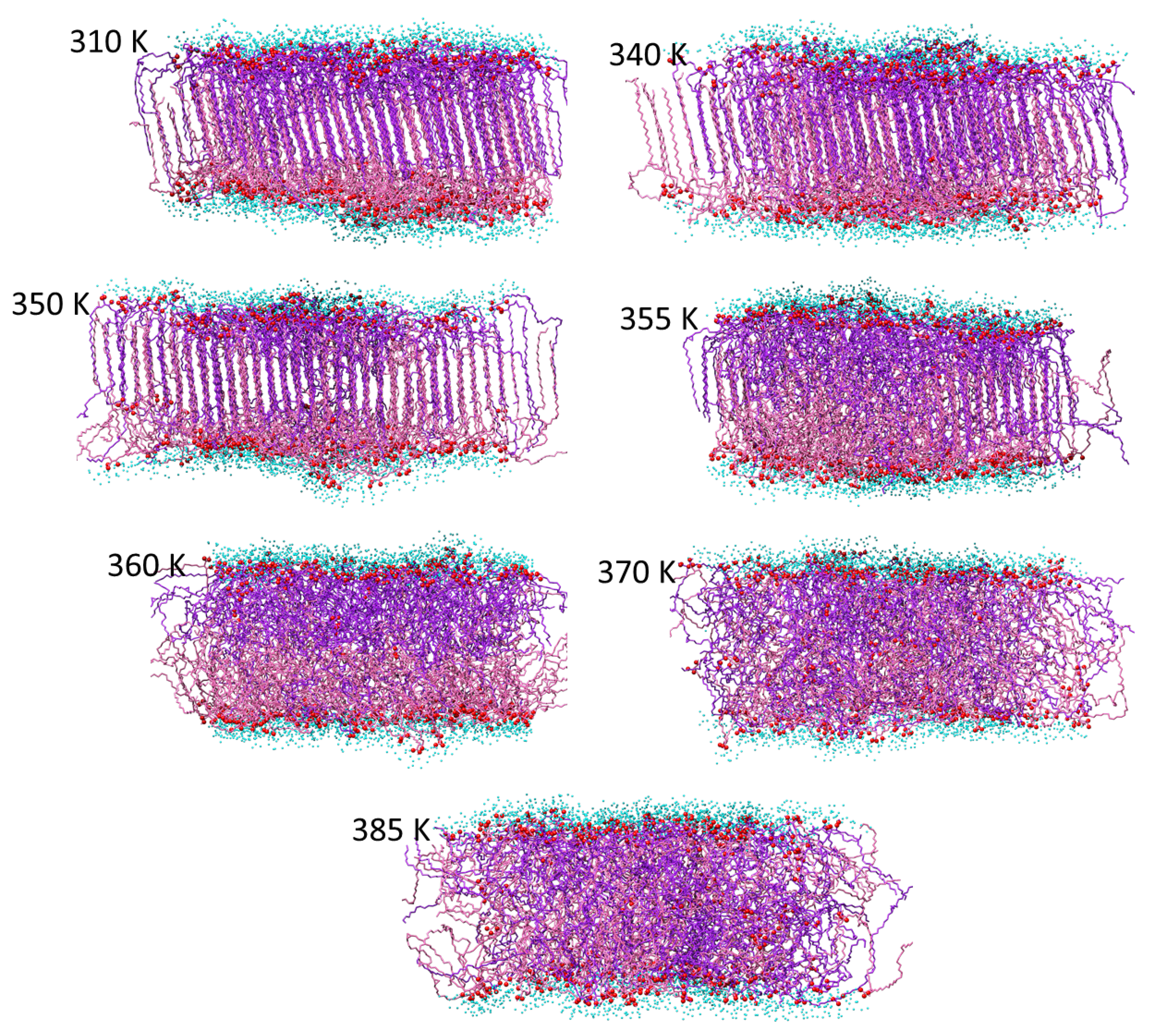 Molecules 29 00696 g009