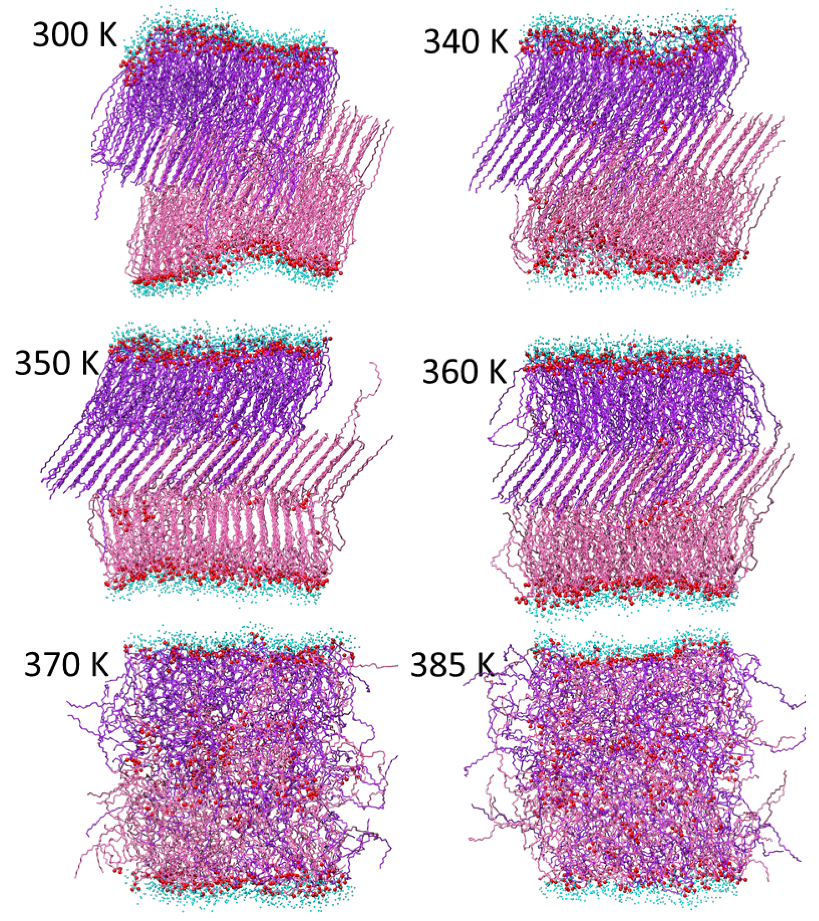 Molecules 29 00696 g010