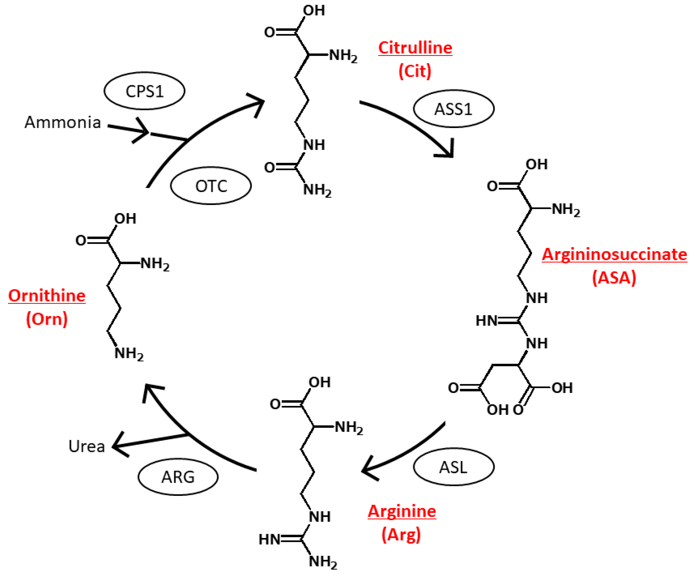 Molecules 29 00700 g001