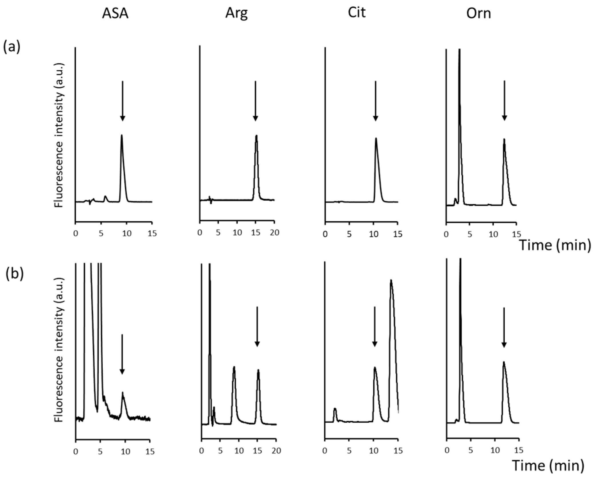 Molecules 29 00700 g004