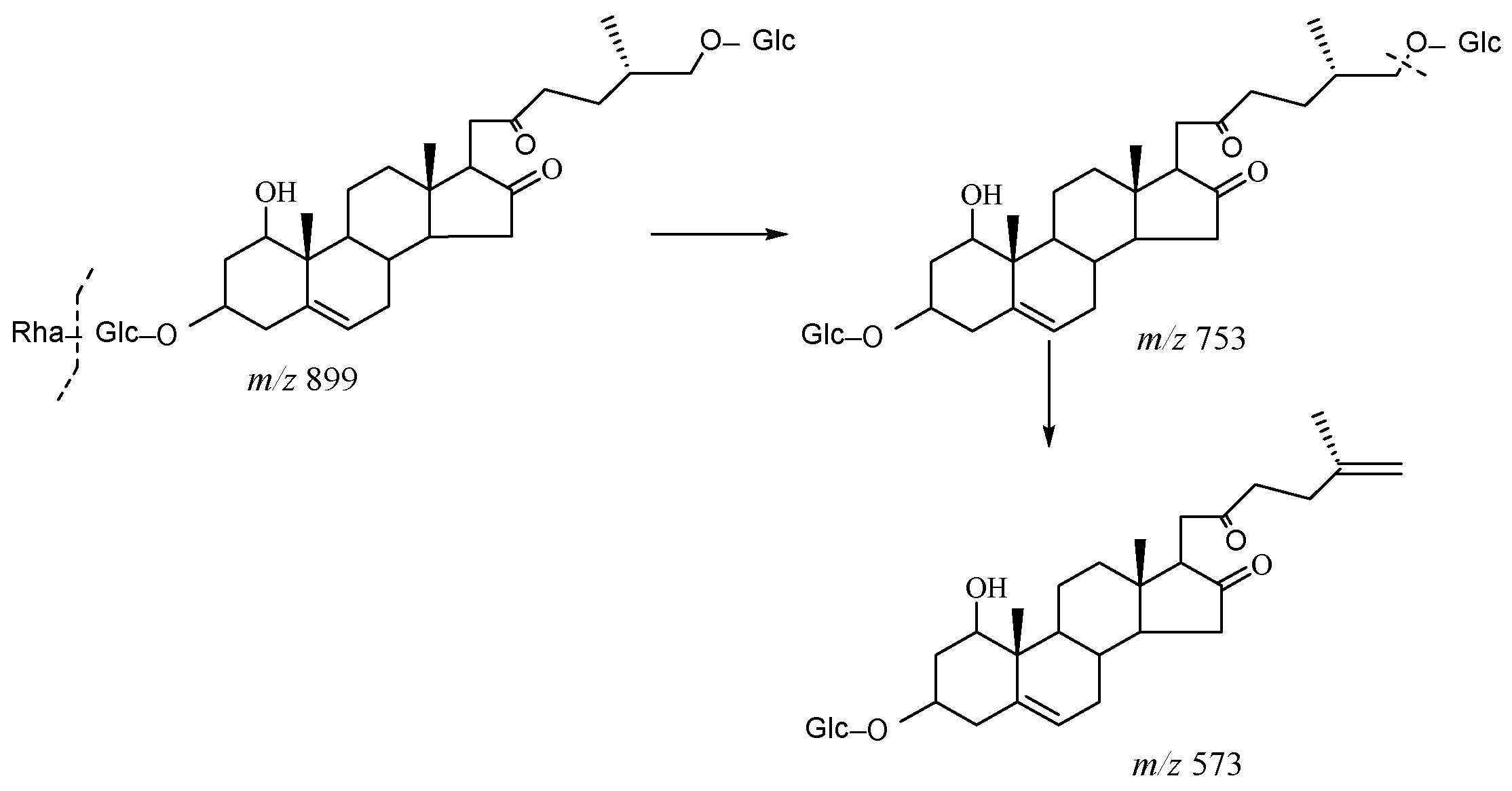 Molecules 29 00702 g011