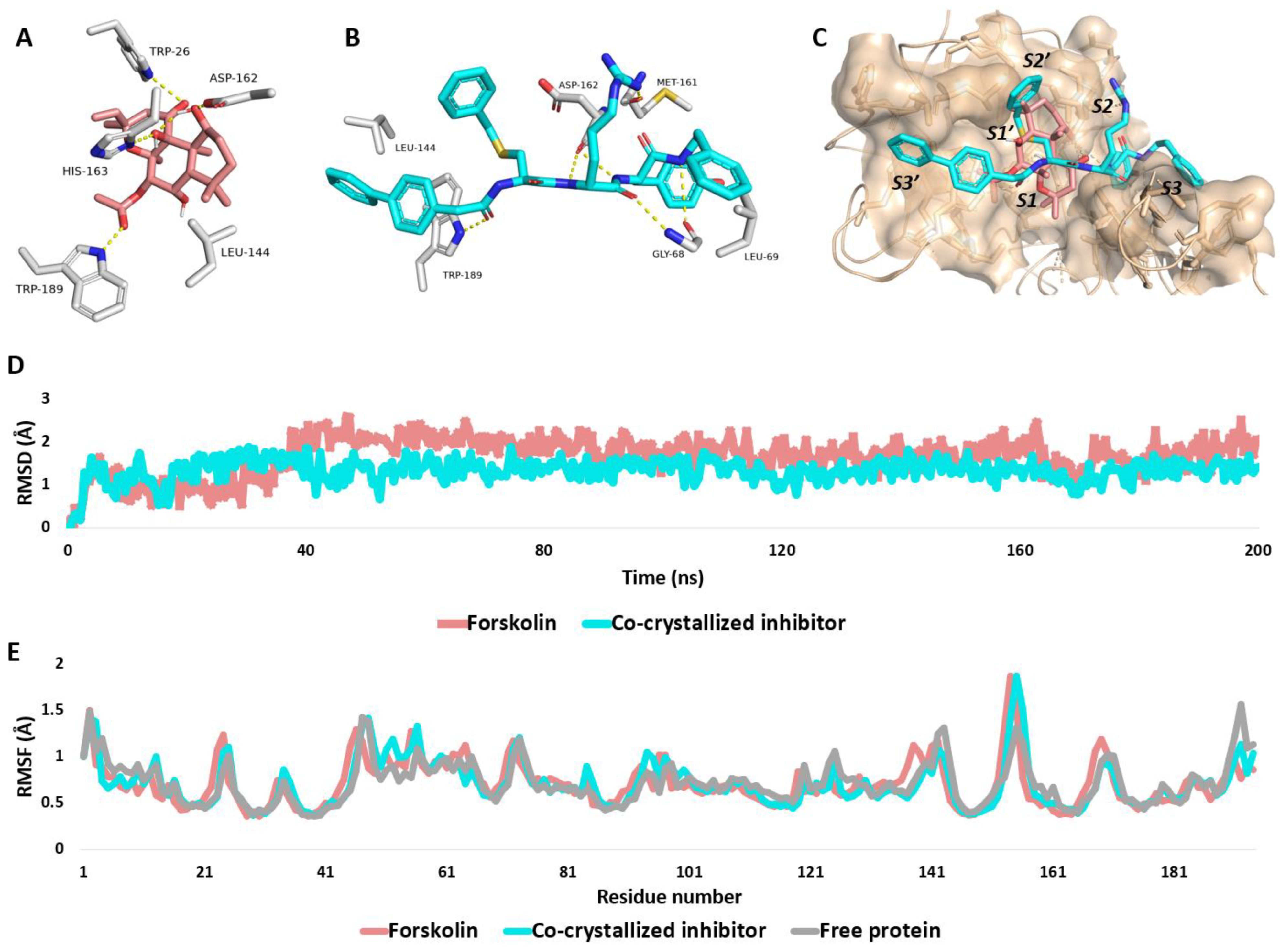 Molecules 29 00704 g004