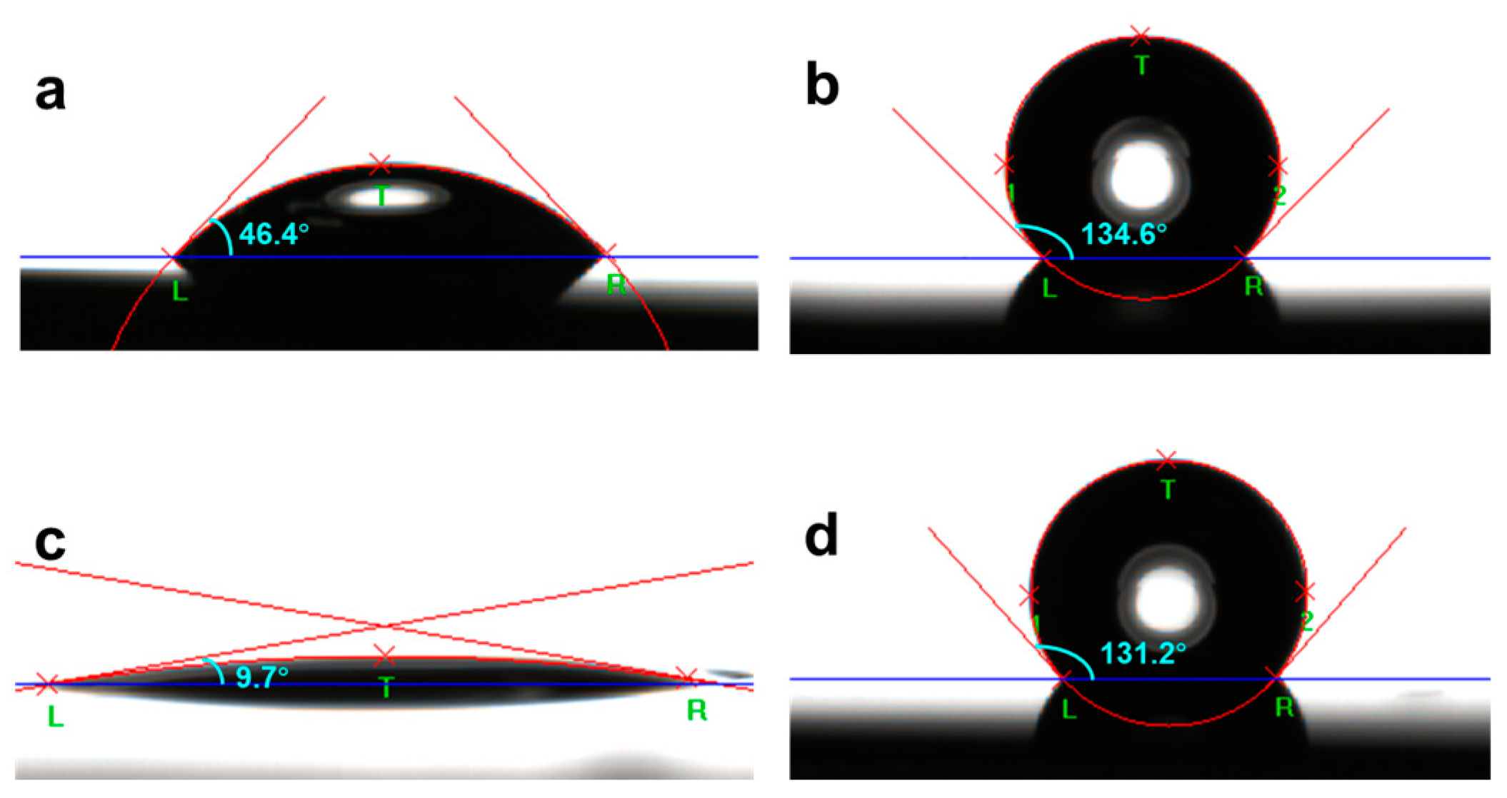 Molecules 29 00706 g001