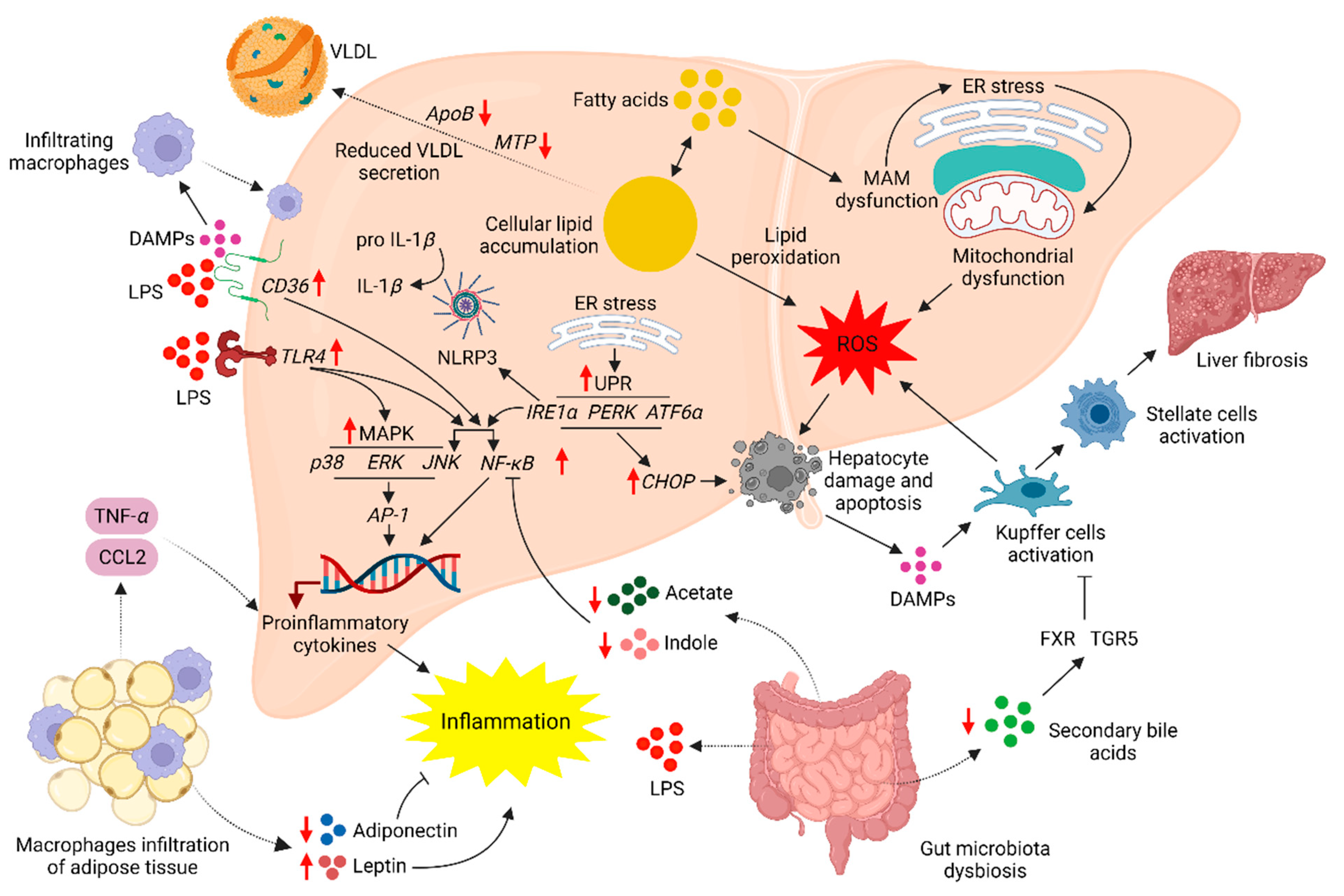 Molecules 29 00709 g003
