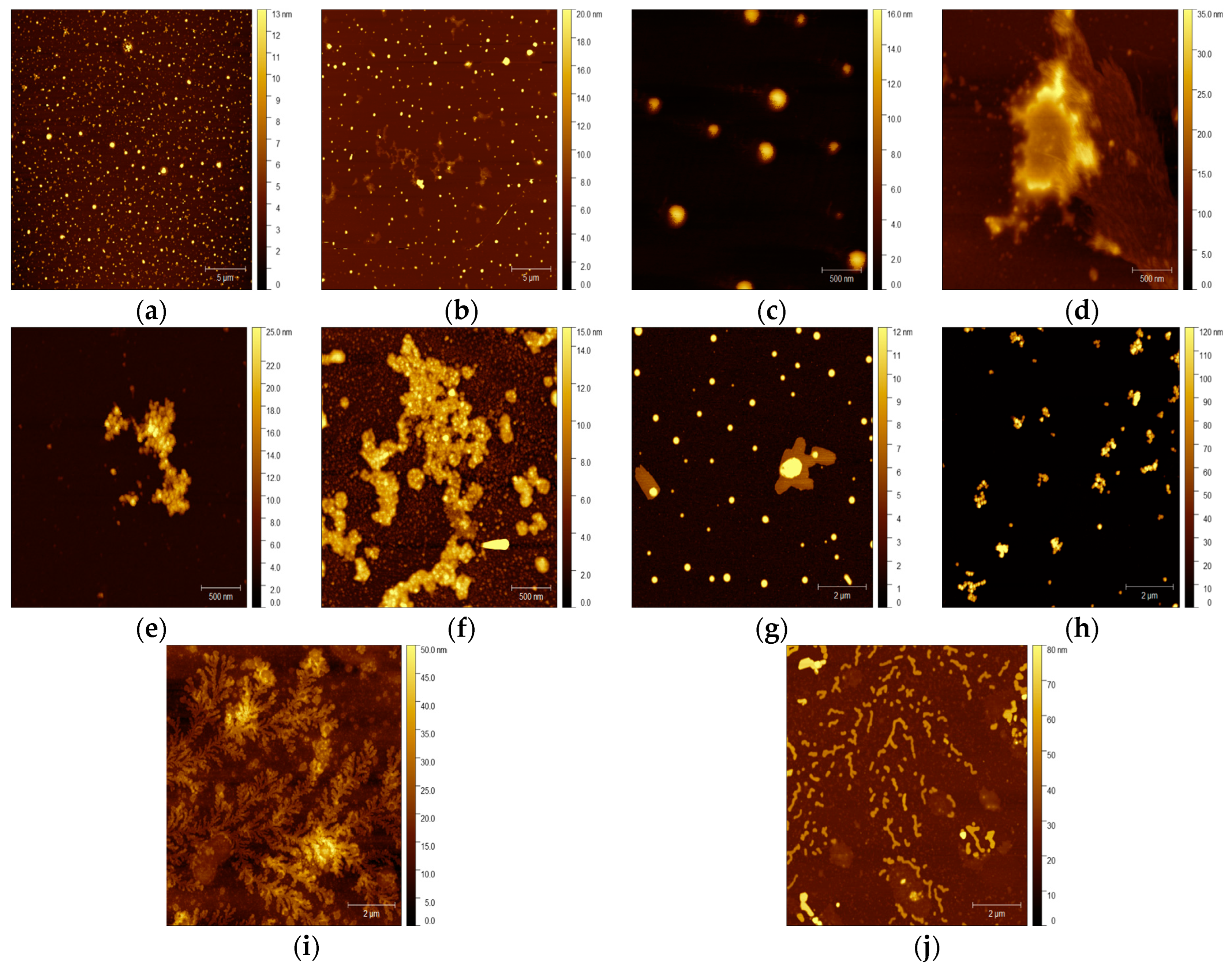 Molecules 29 00710 g004 Molecules 29 00710 g004