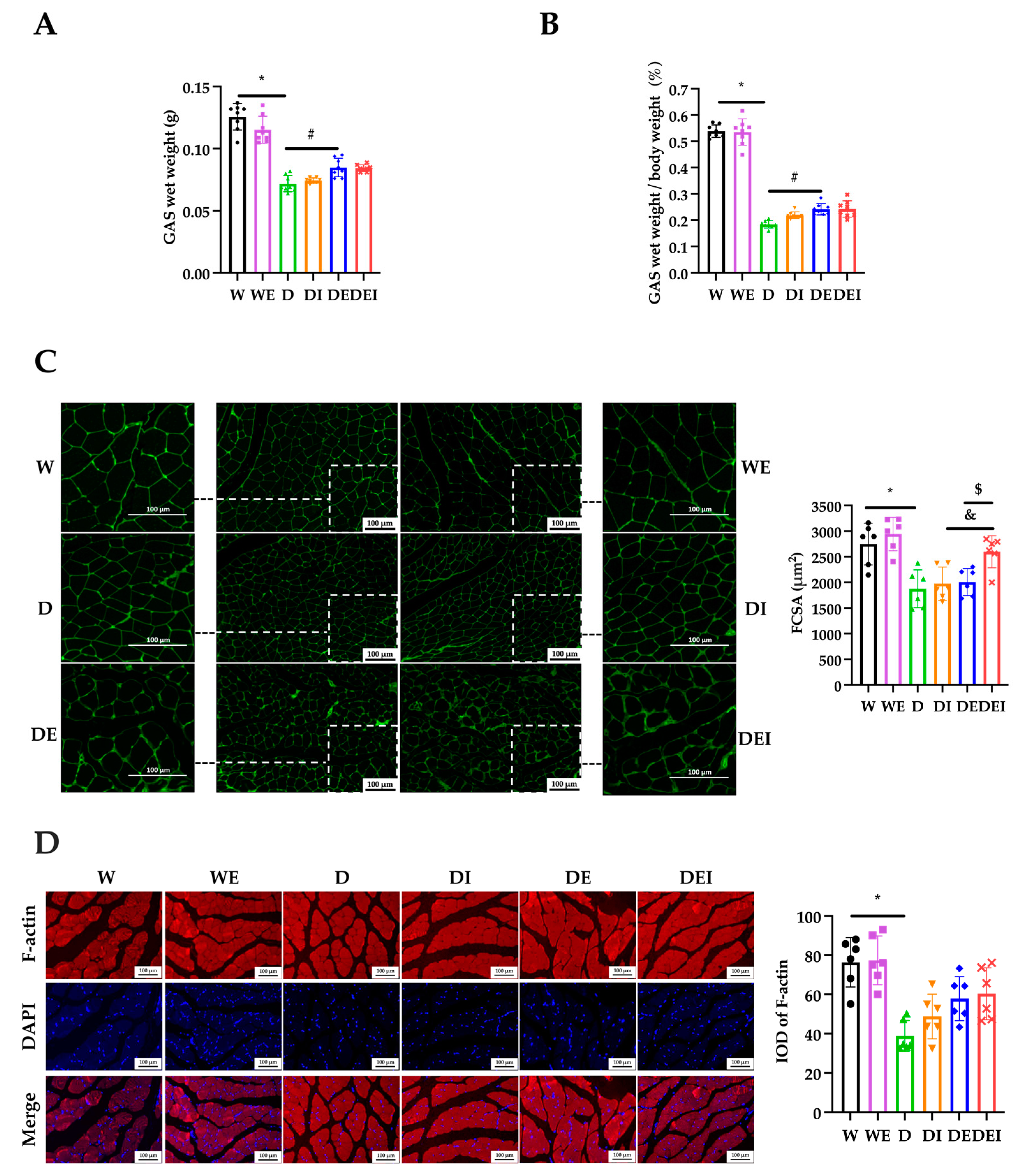 Molecules 29 00712 g002
