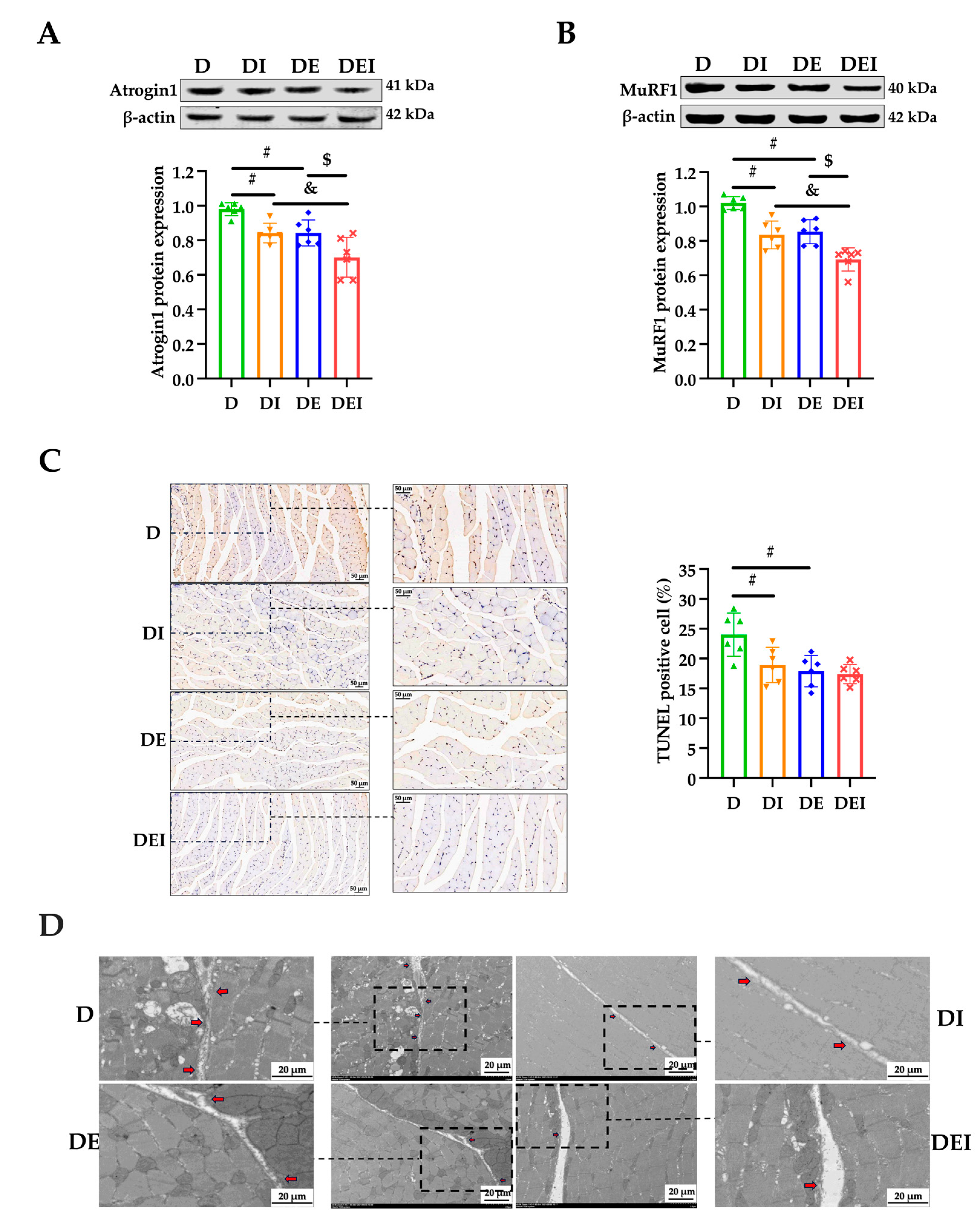 Molecules 29 00712 g003