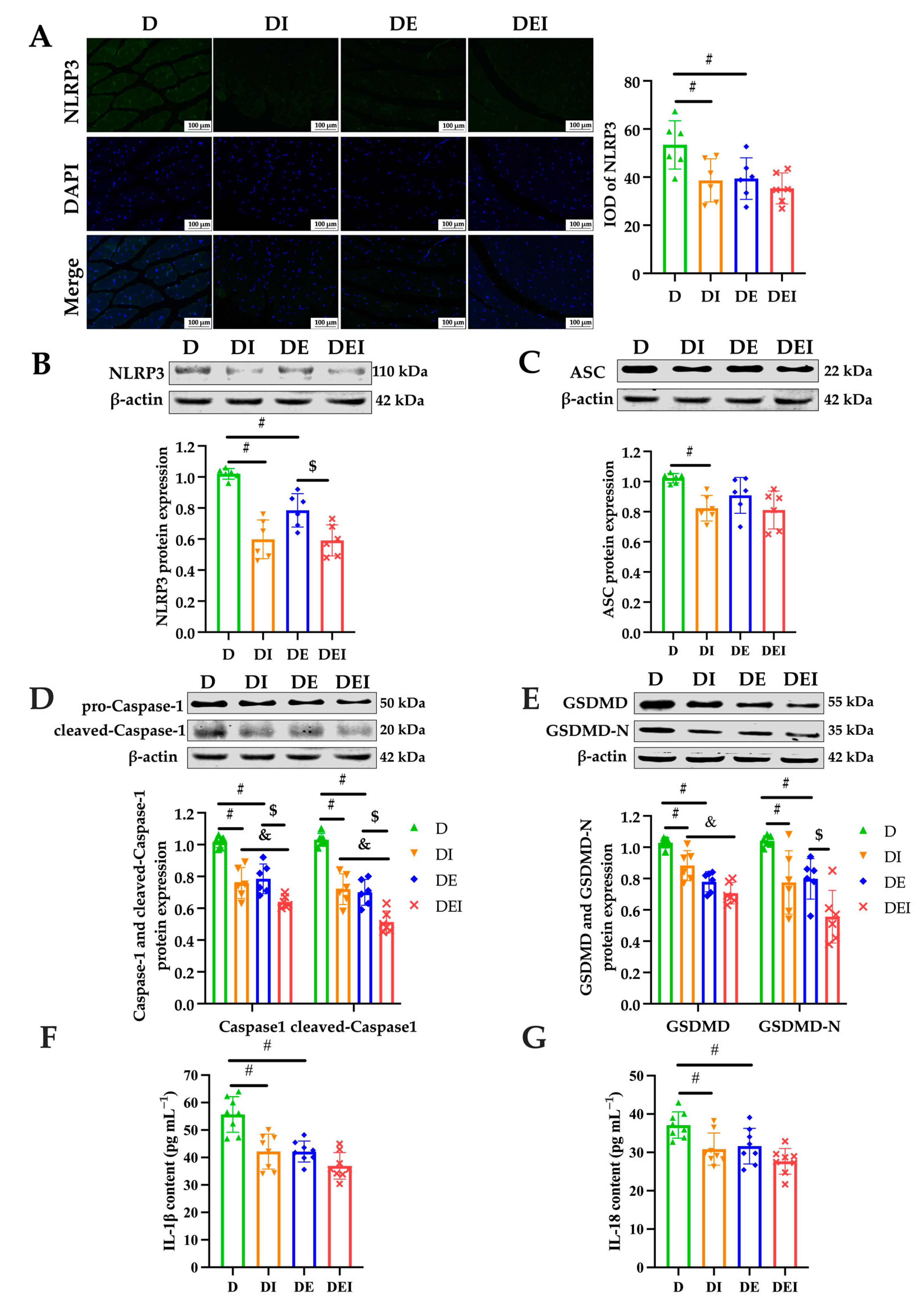 Molecules 29 00712 g004