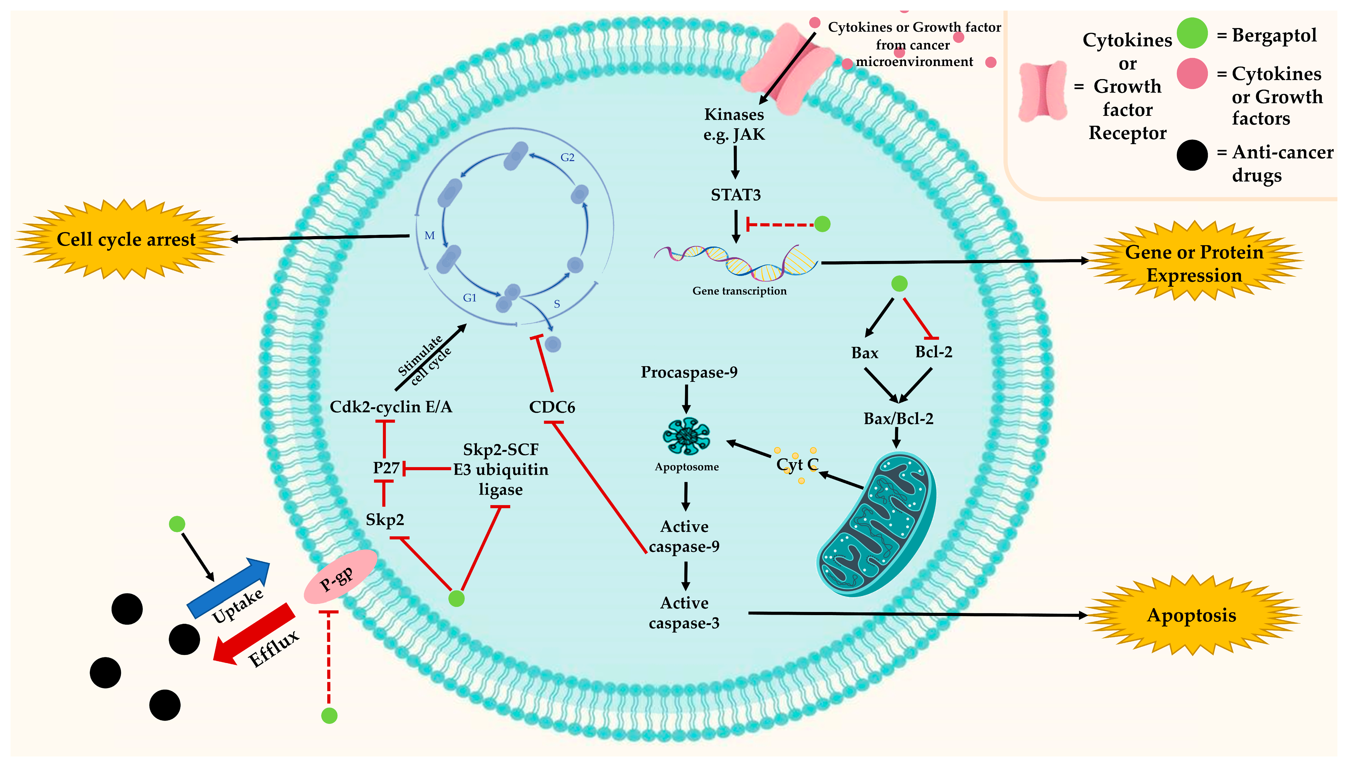 Molecules 29 00713 g004