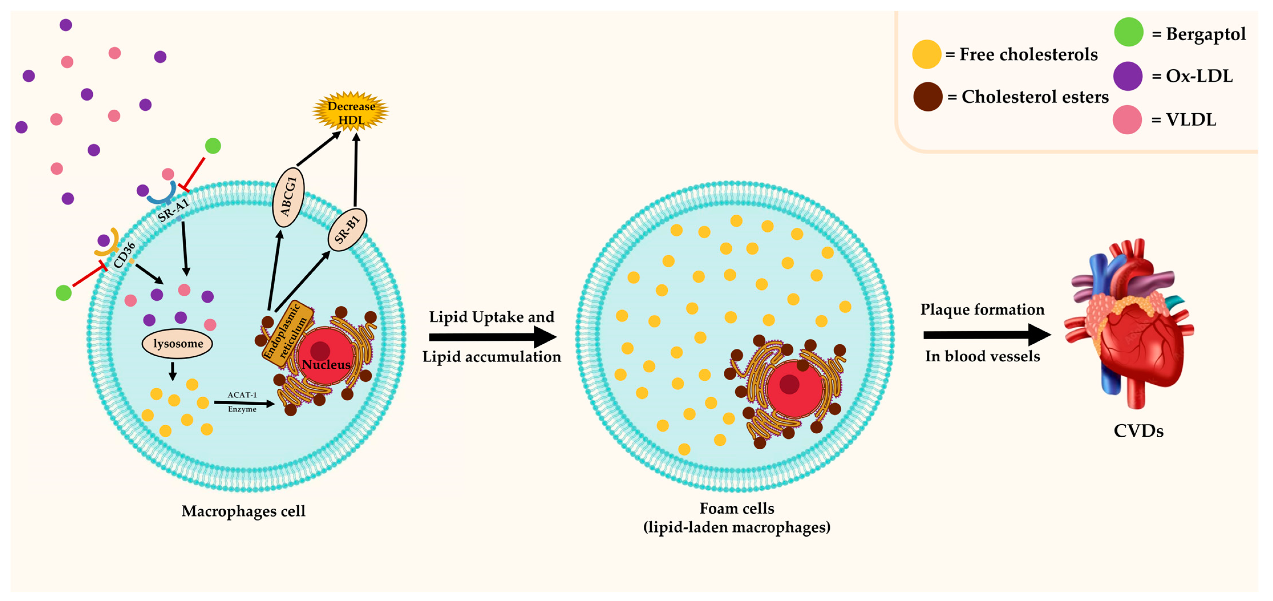 Molecules 29 00713 g005
