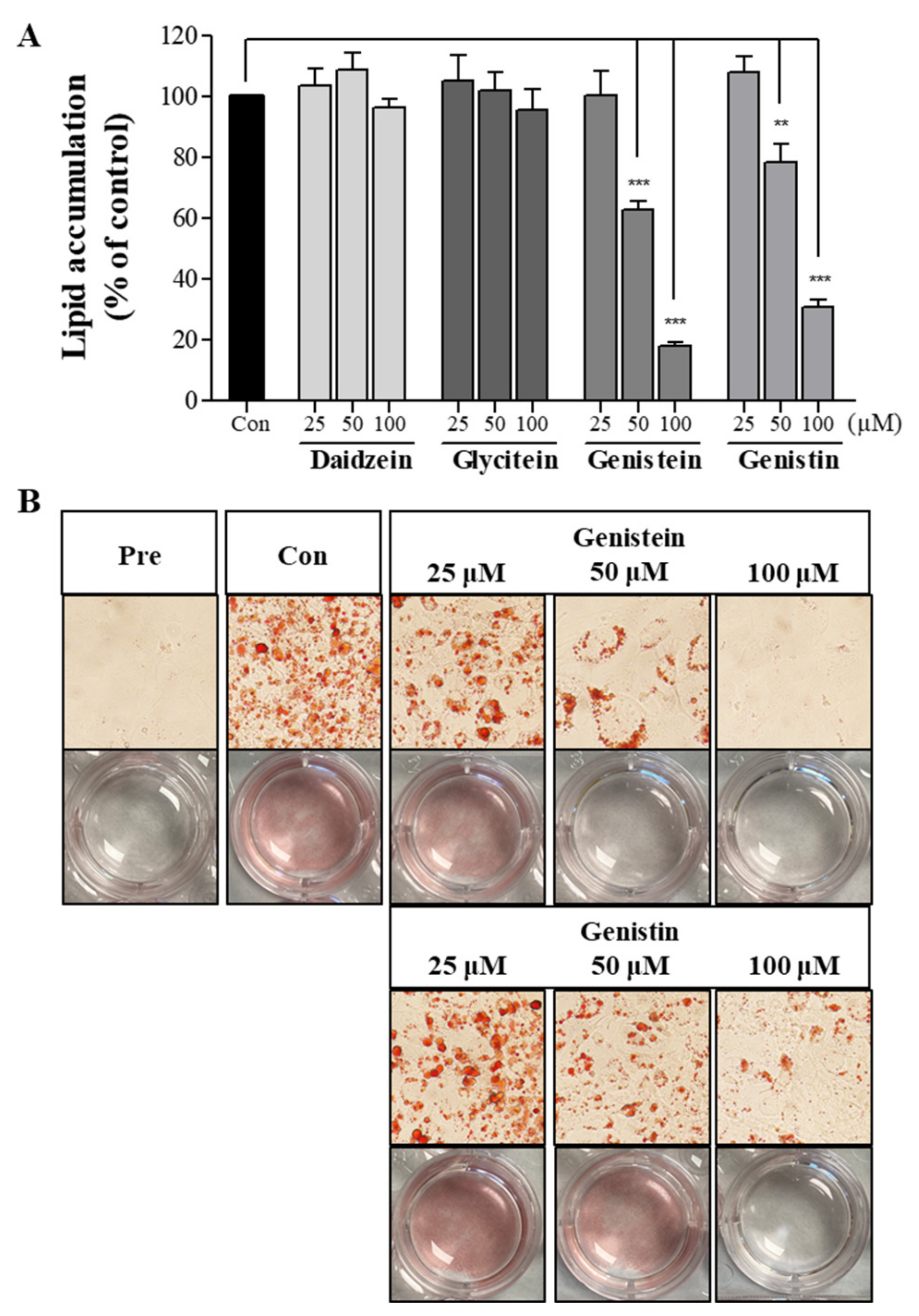 Molecules 29 00714 g002