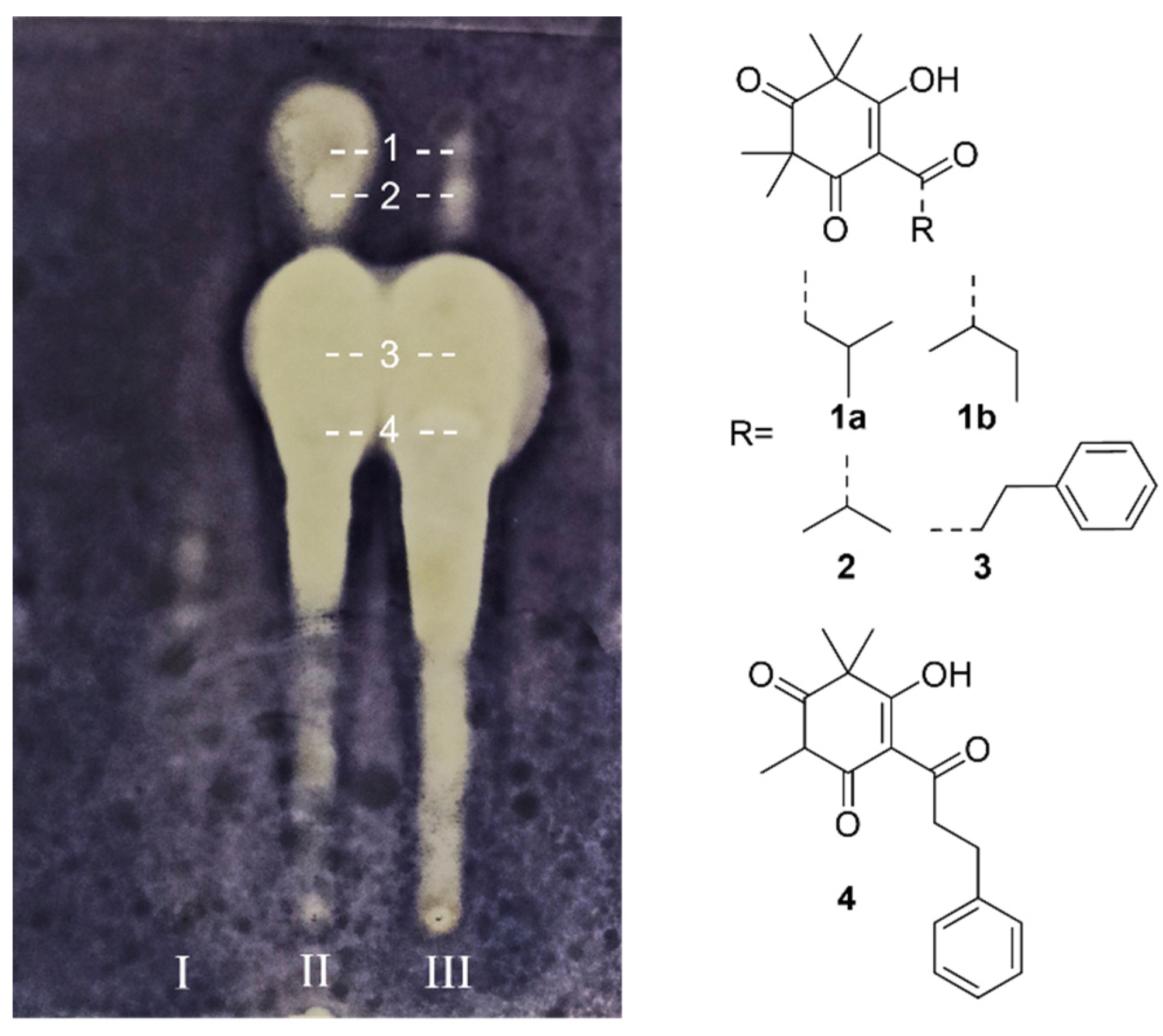 Molecules 29 00717 g001