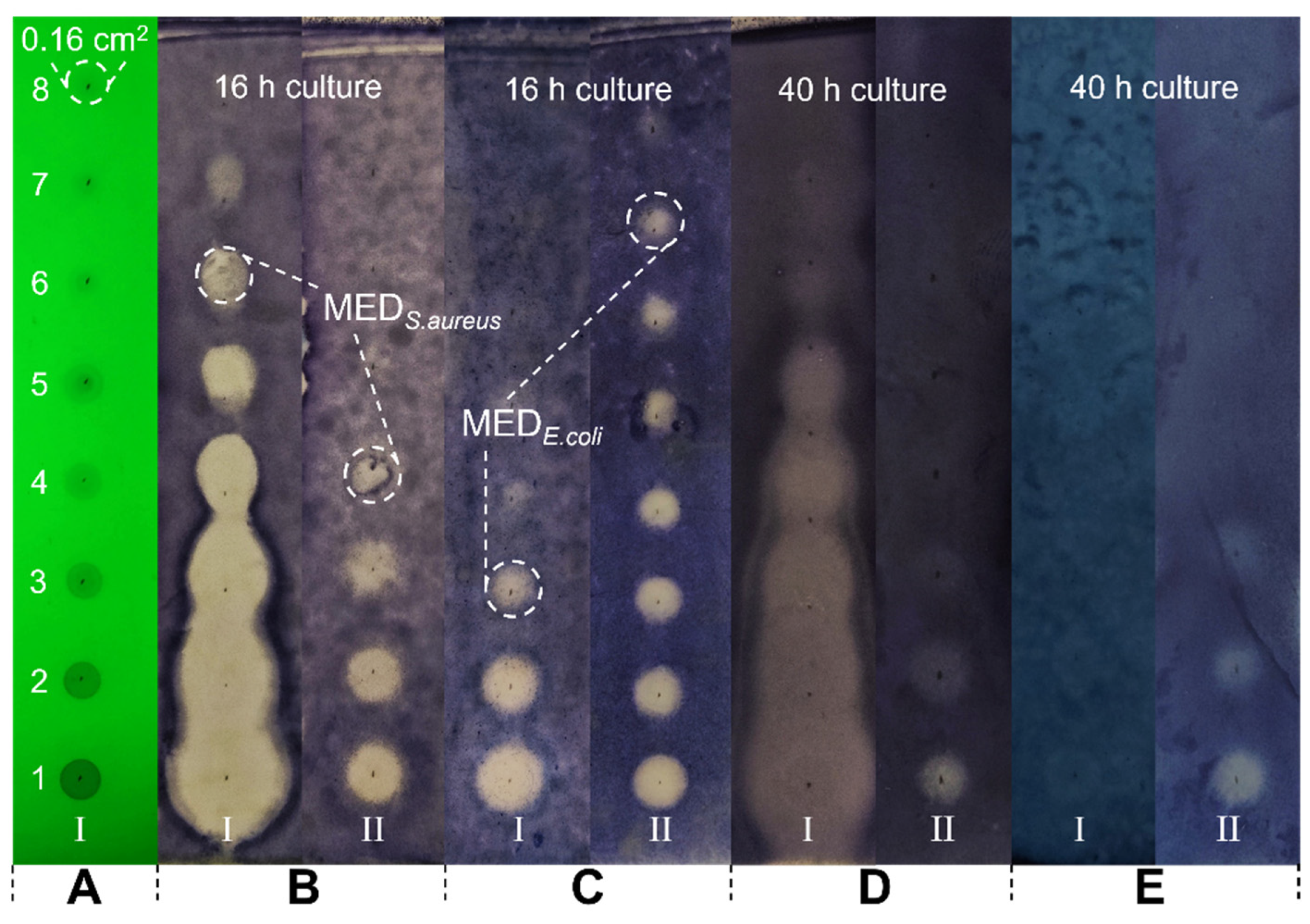 Molecules 29 00717 g007