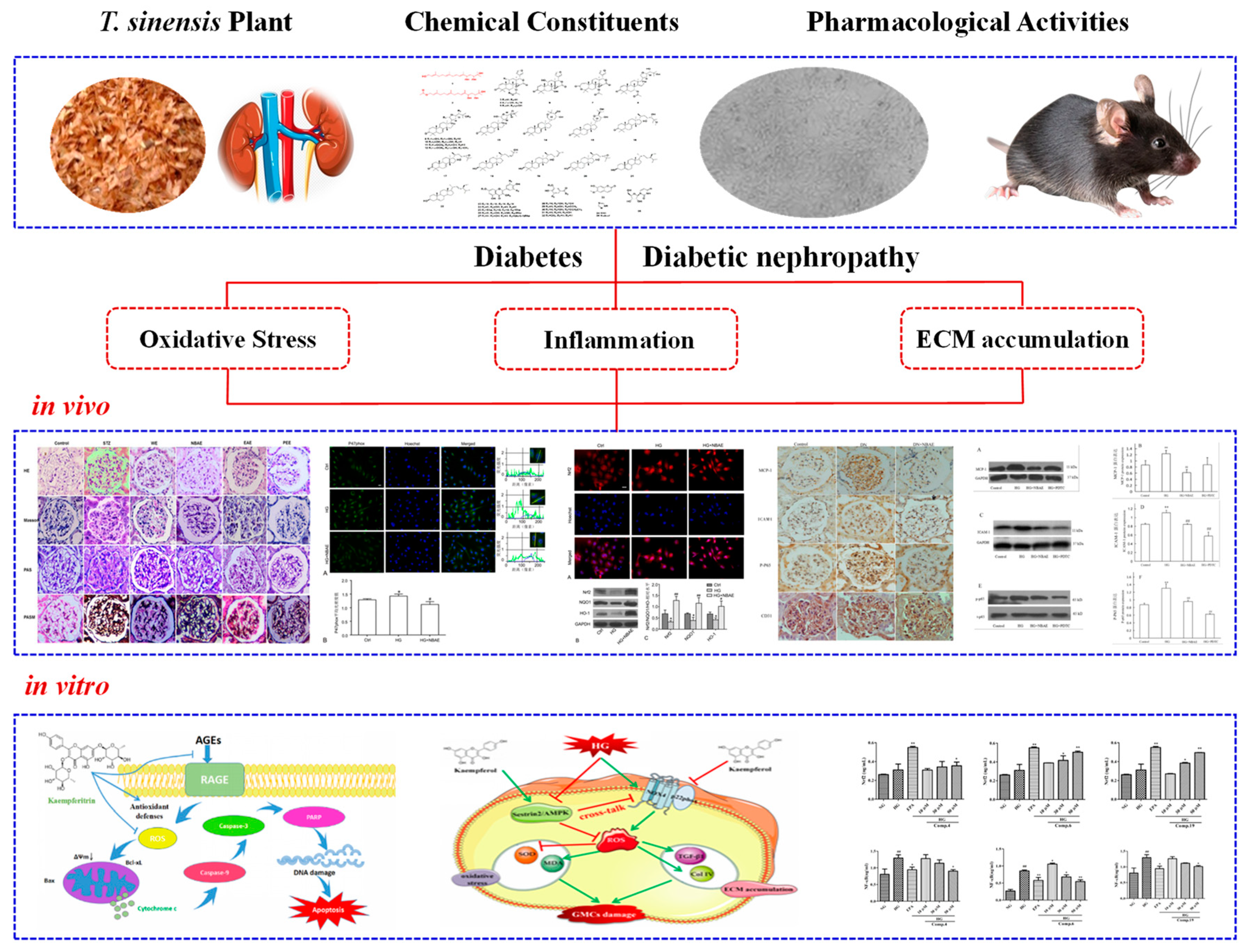 Molecules 29 00718 g009