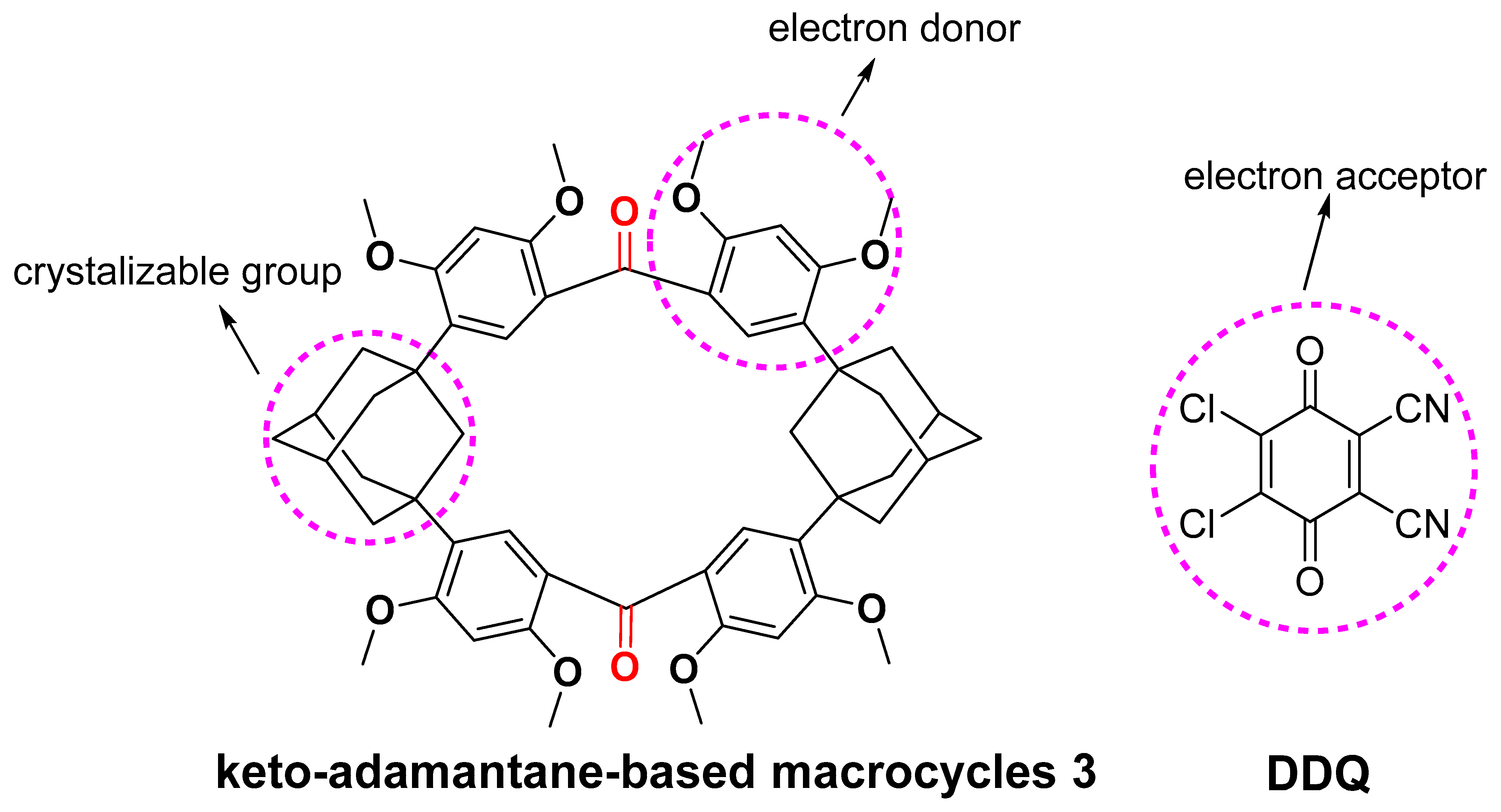 Molecules 29 00719 g001