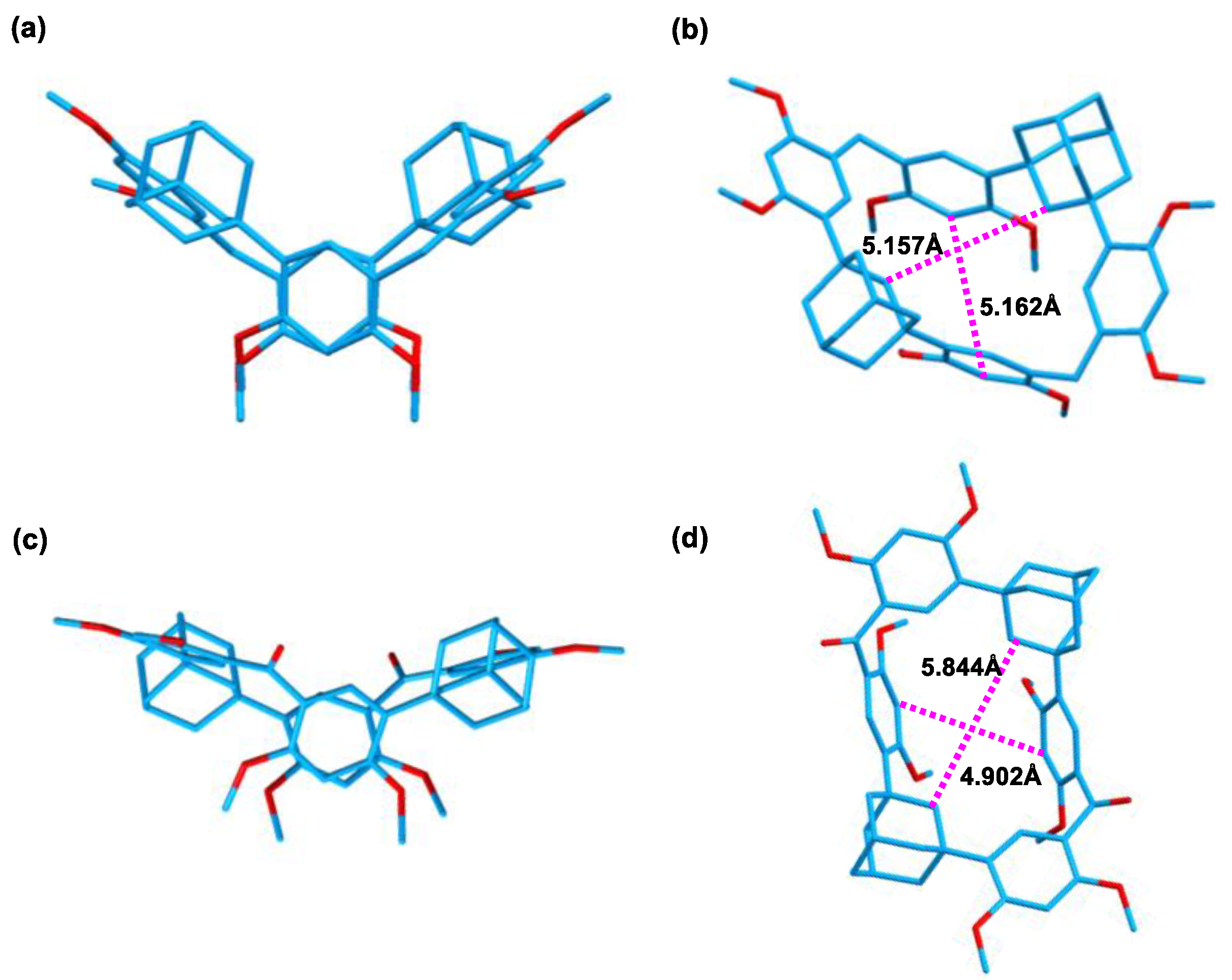 Molecules 29 00719 g003