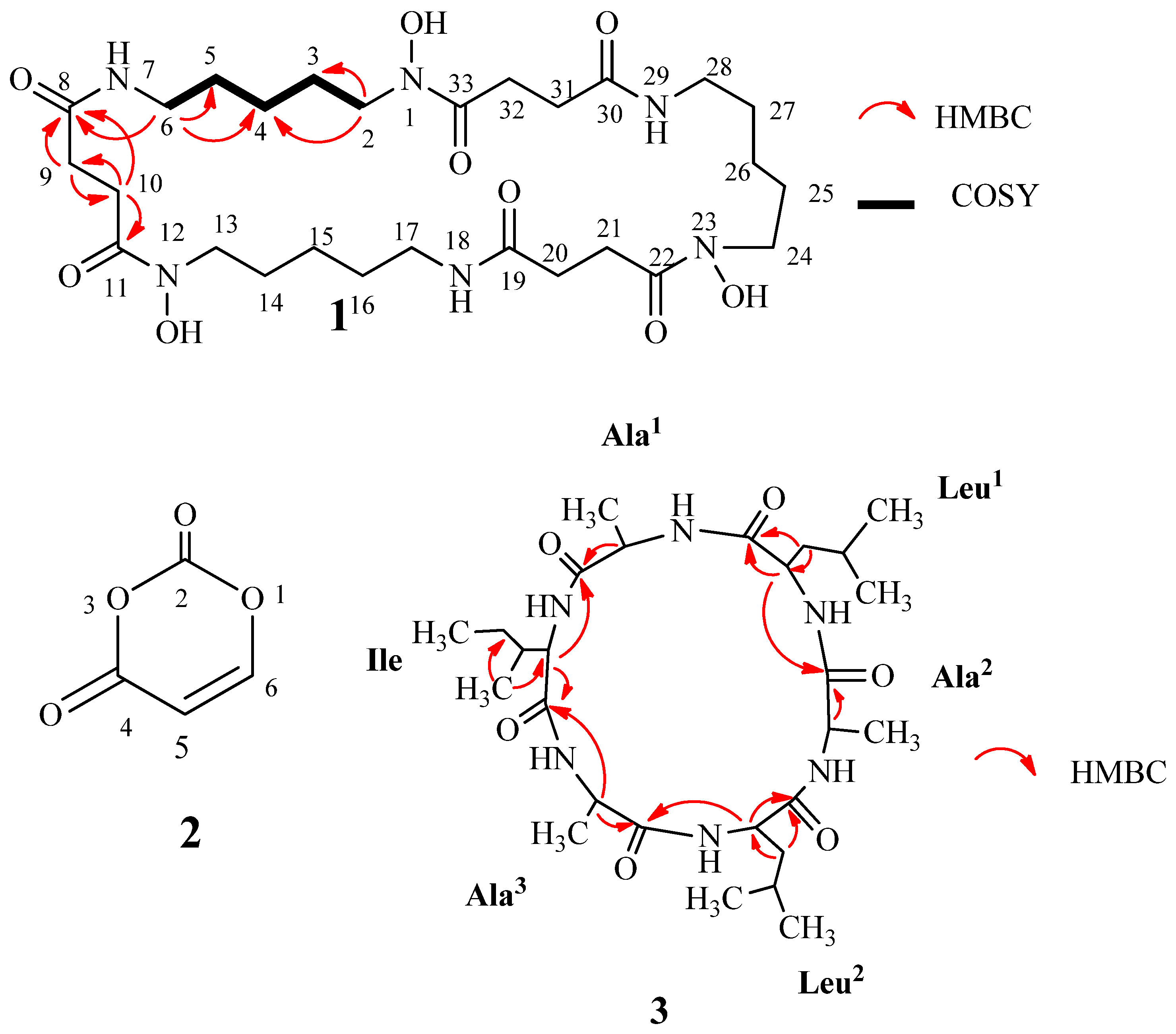 Molecules 29 00720 g002