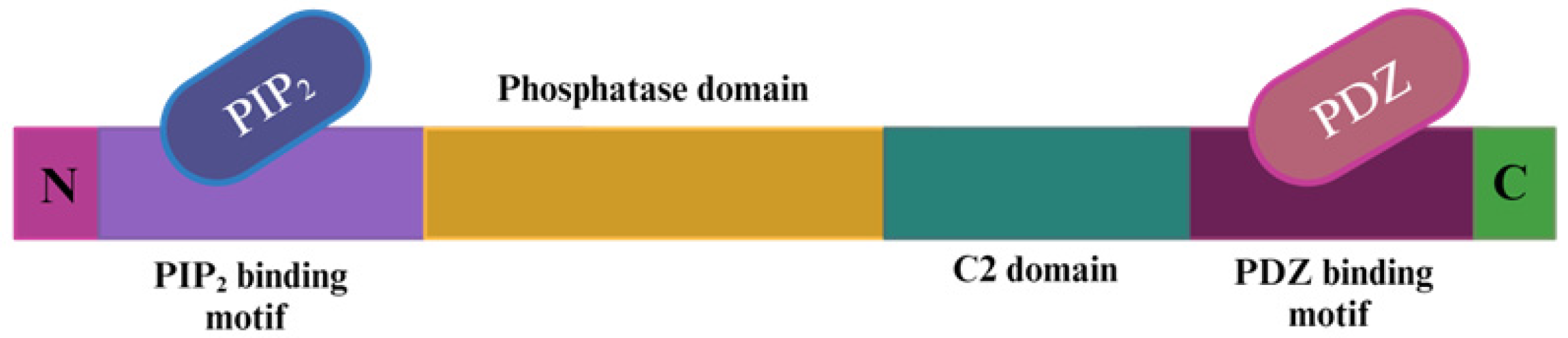Molecules 29 00721 g001