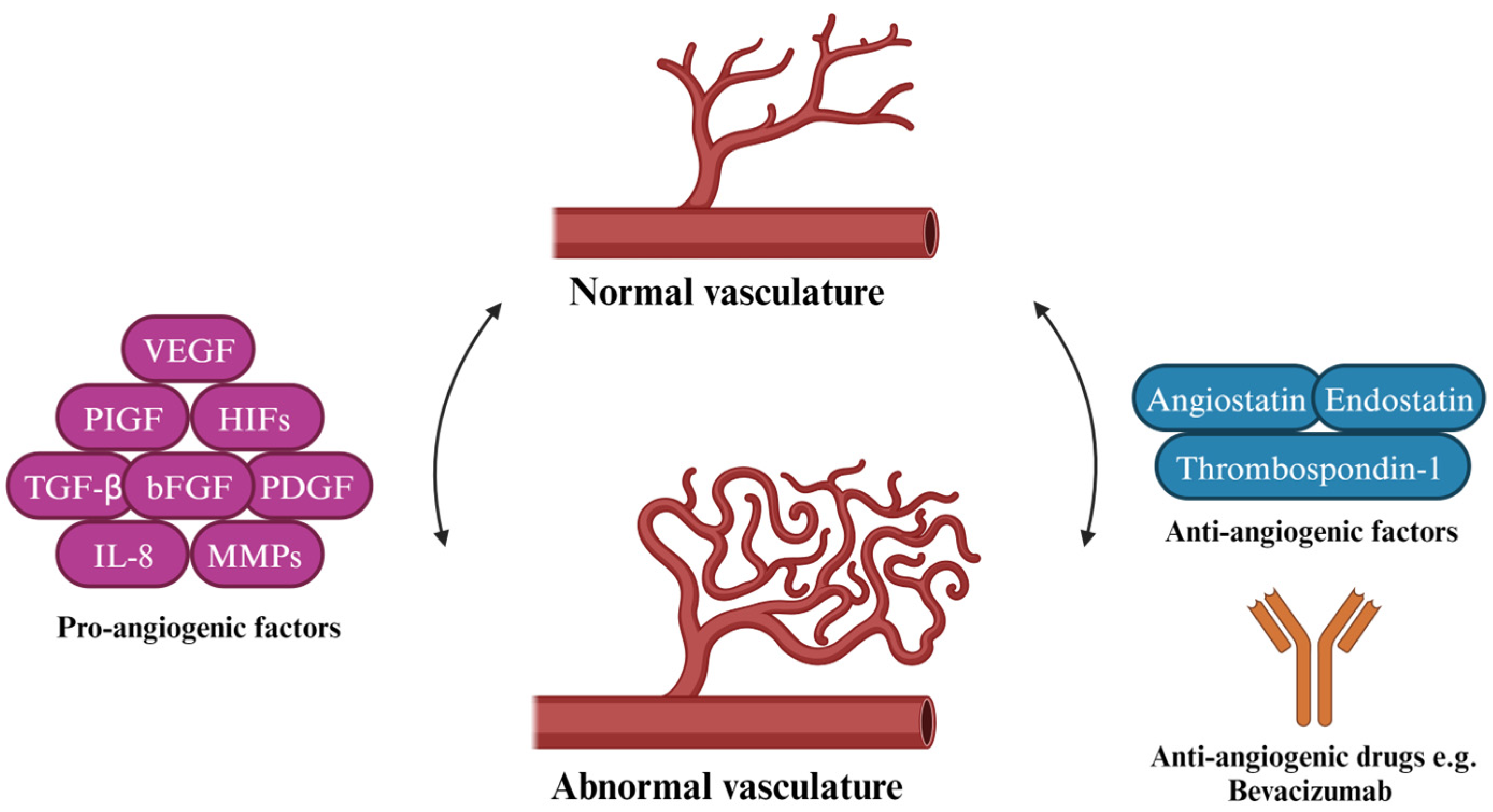 Molecules 29 00721 g002