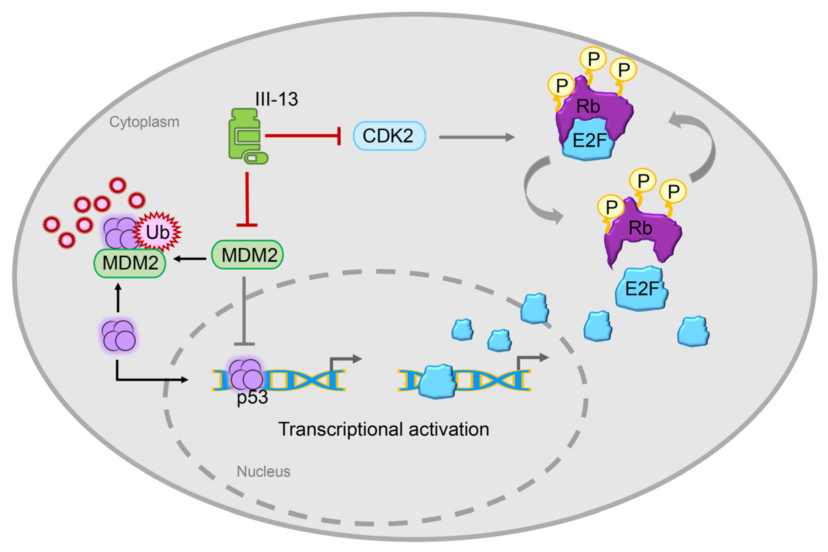 Molecules 29 00725 g006