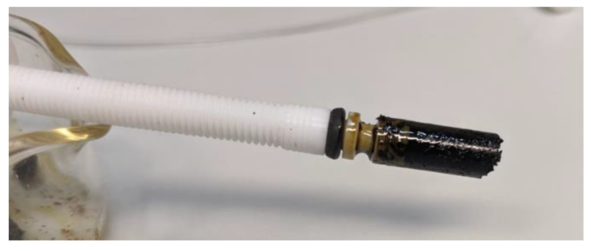 Molecules 29 00726 g001