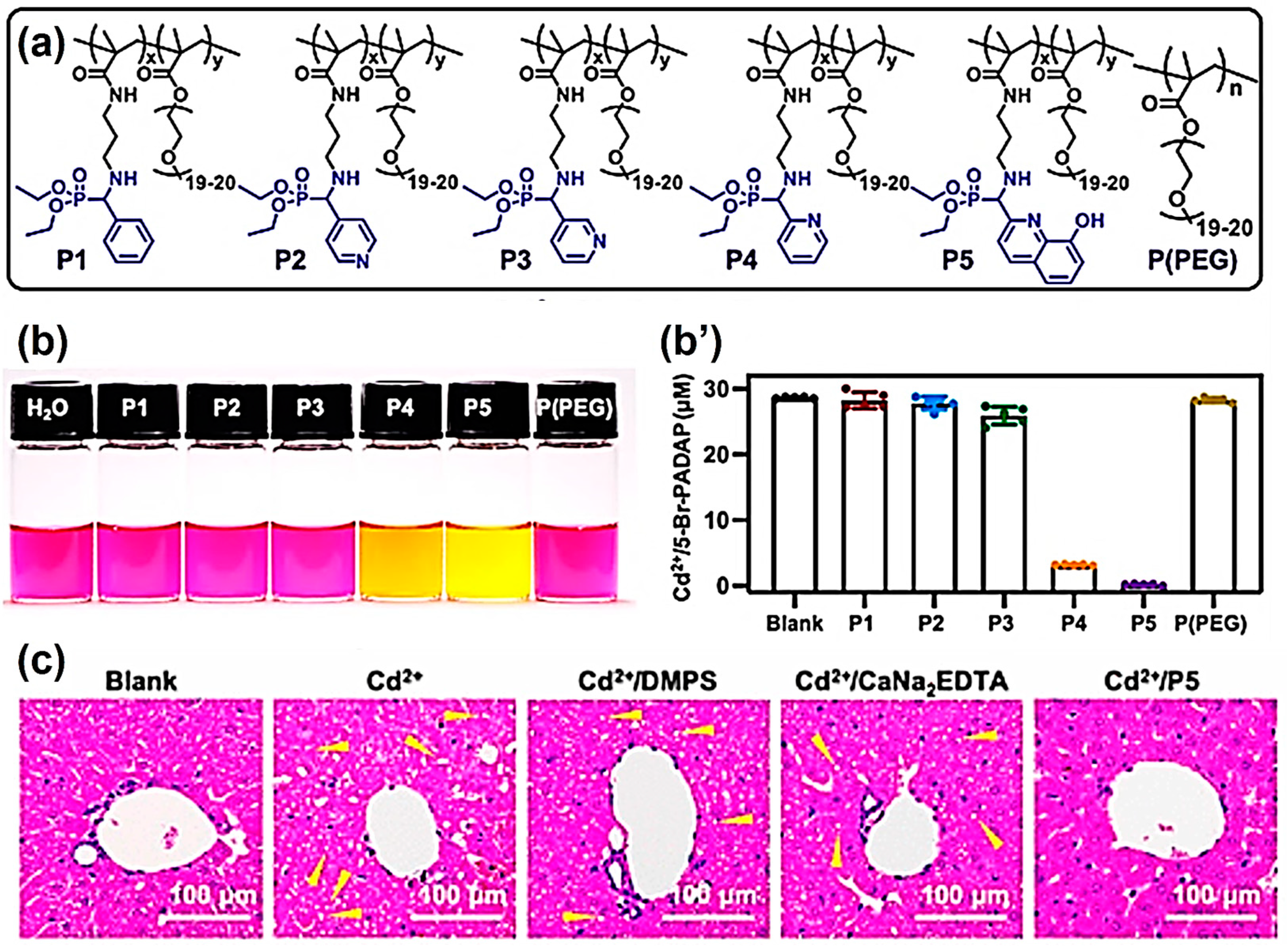 Molecules 29 00727 g003