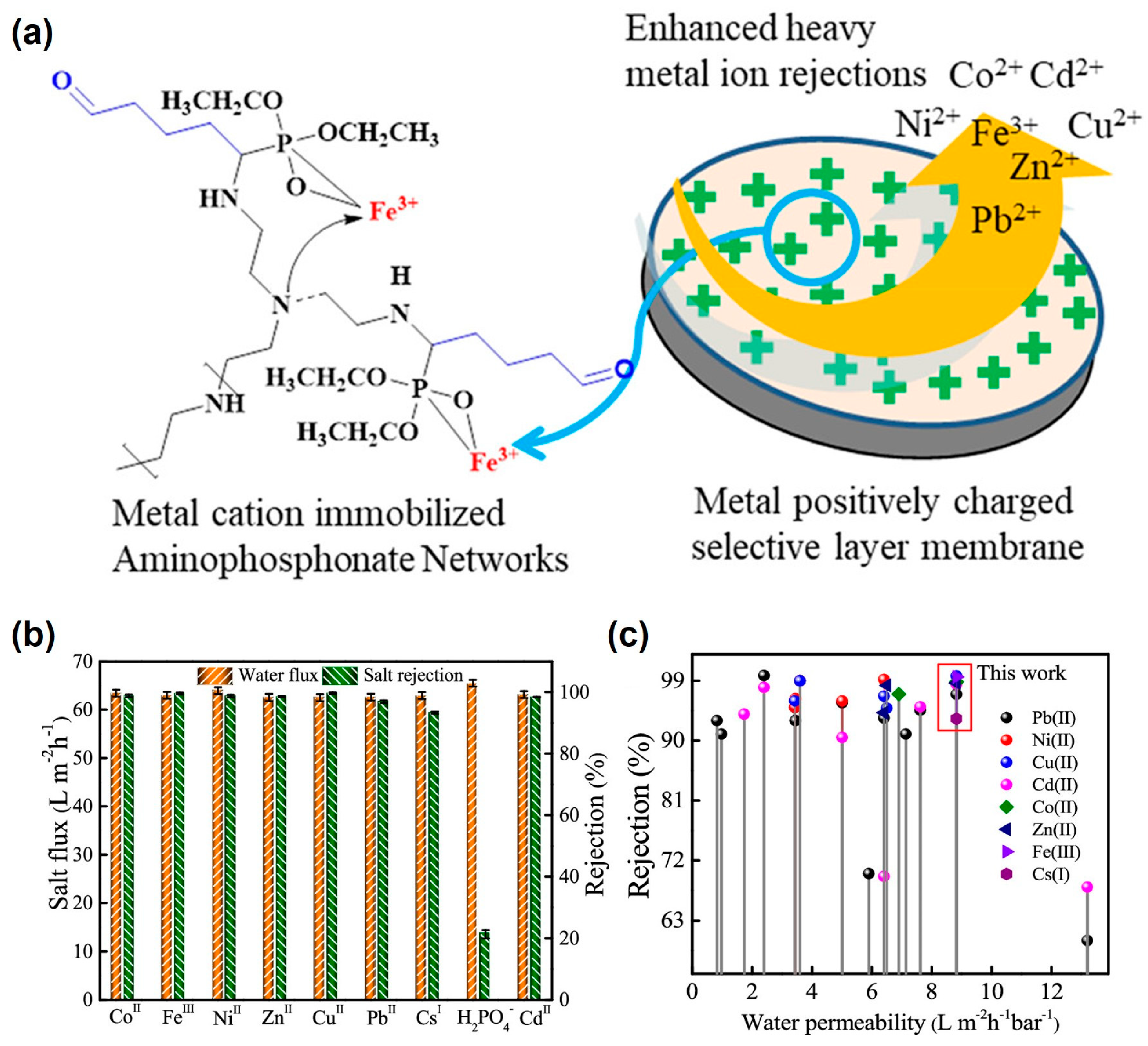 Molecules 29 00727 g004