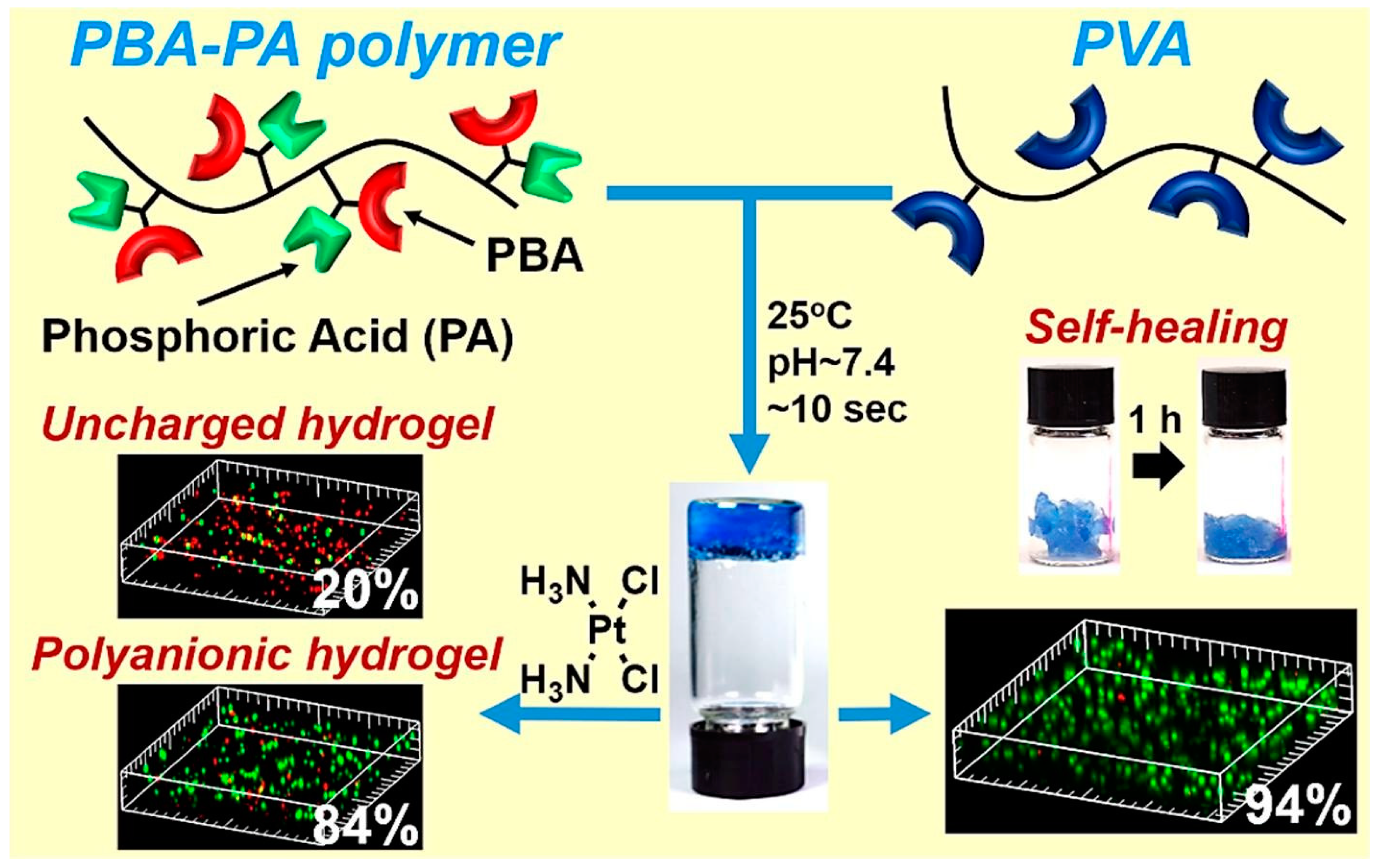 Molecules 29 00727 g007