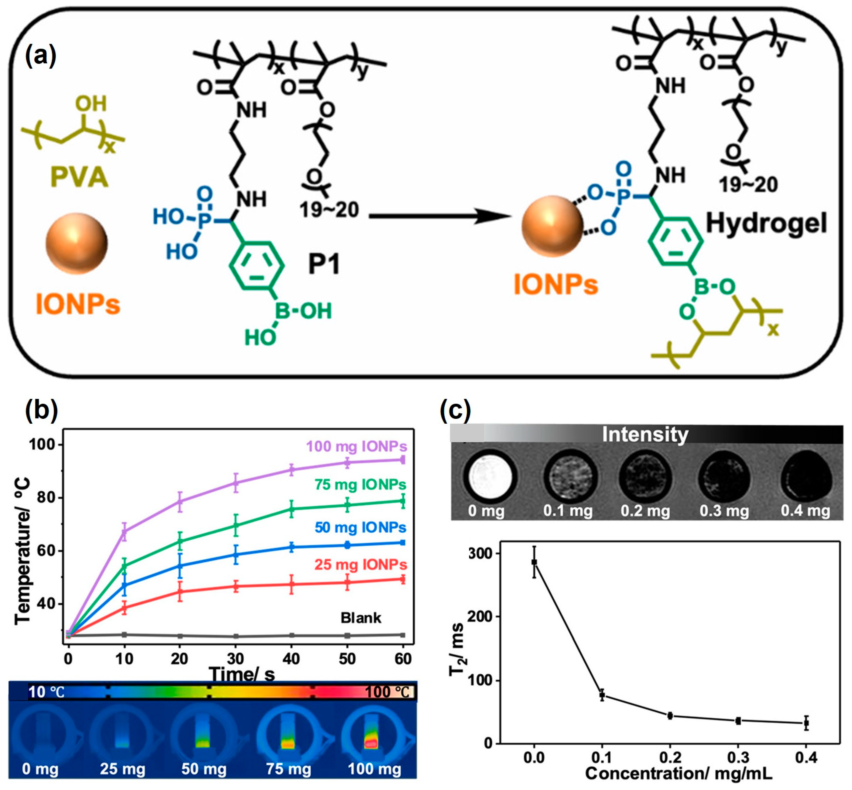 Molecules 29 00727 g008