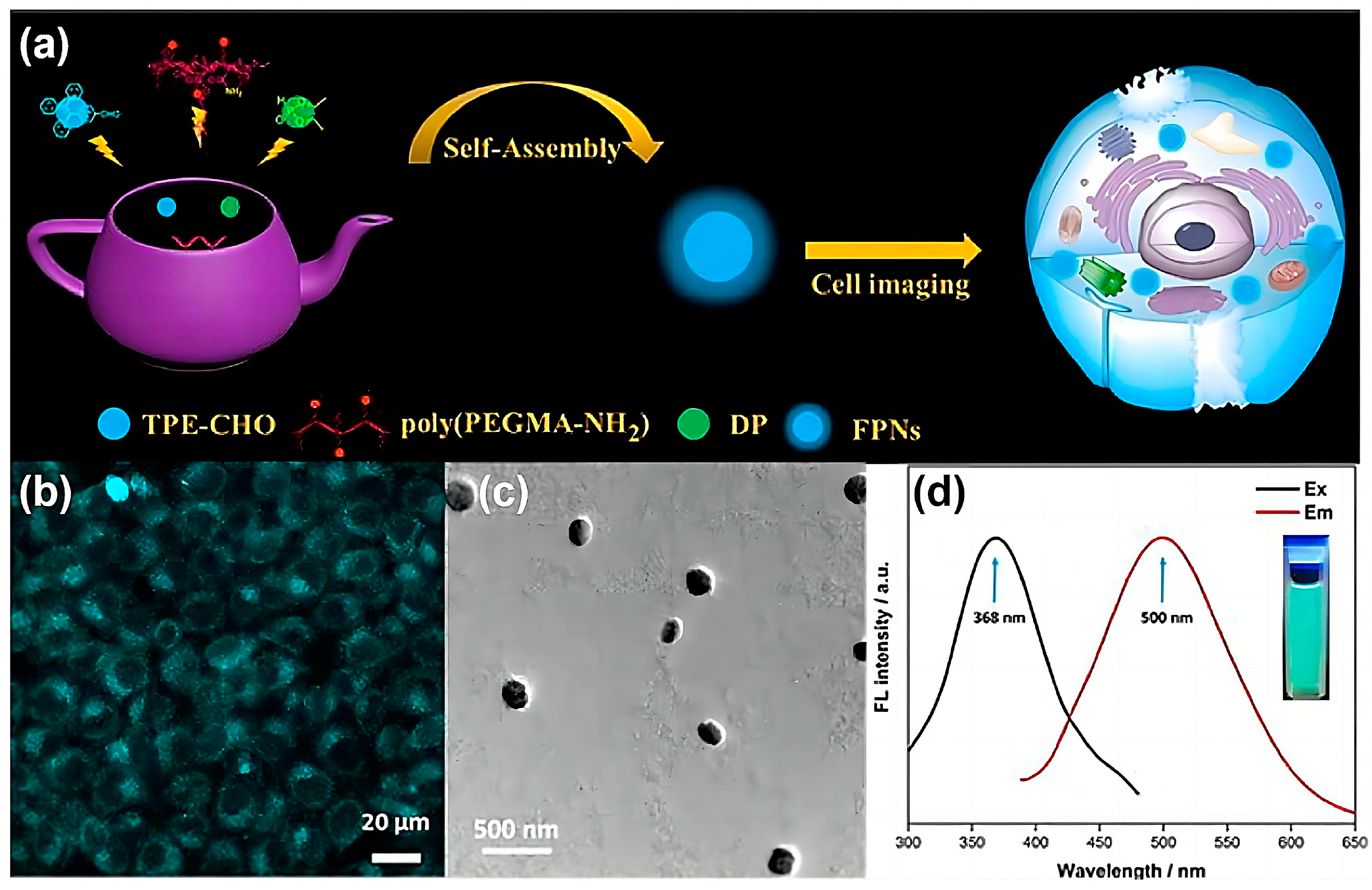 Molecules 29 00727 g013