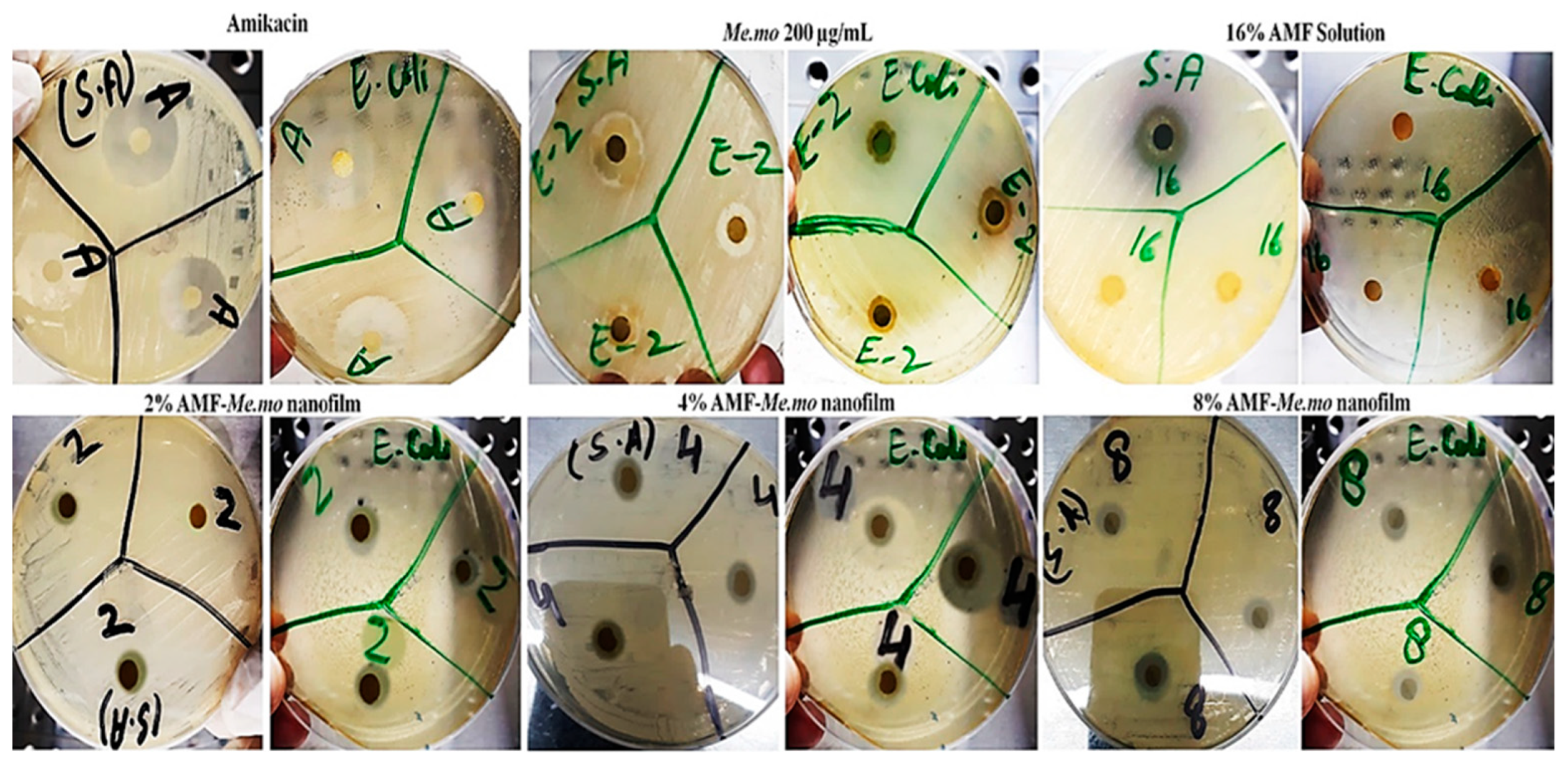Molecules 29 00729 g001