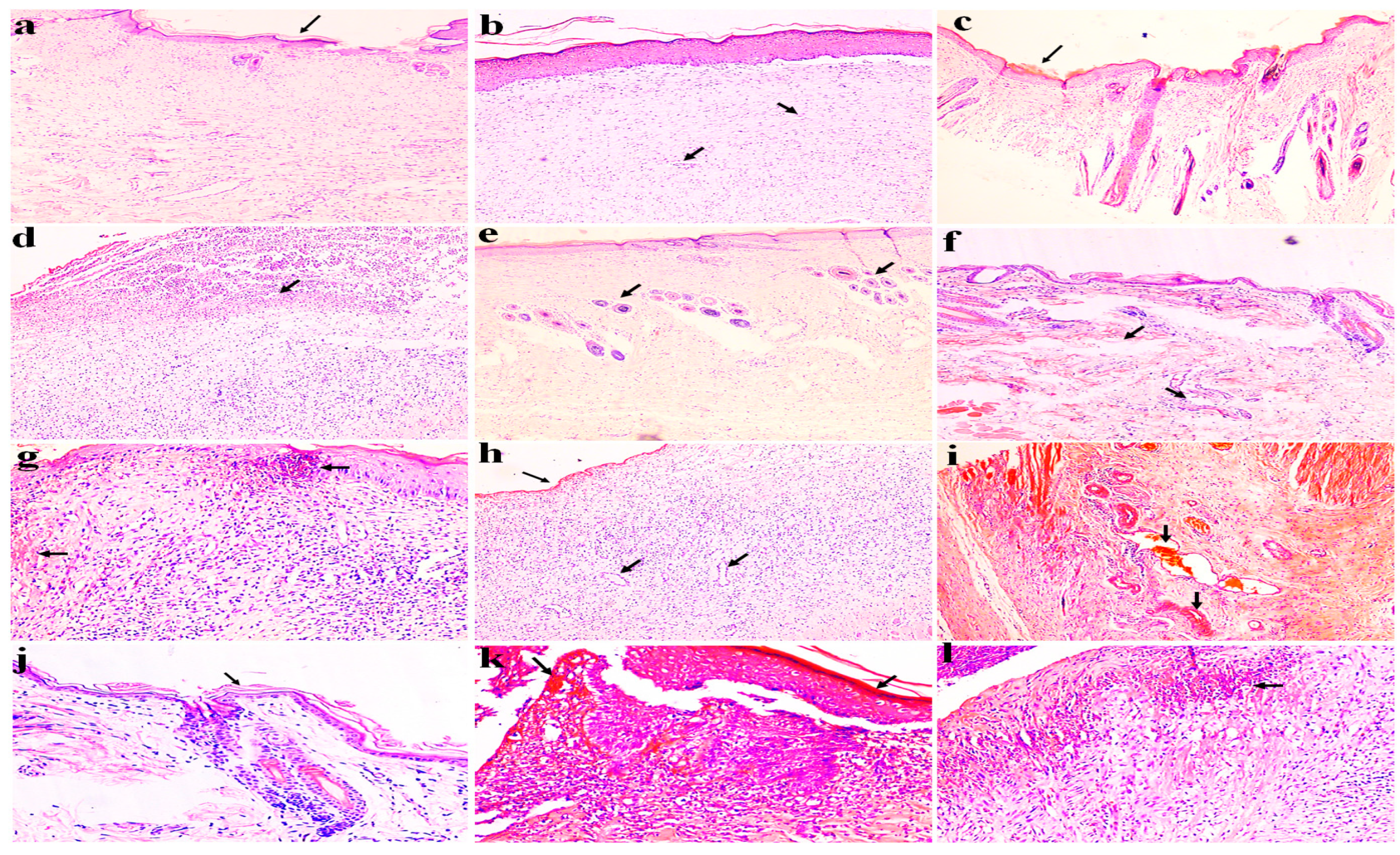Molecules 29 00729 g006