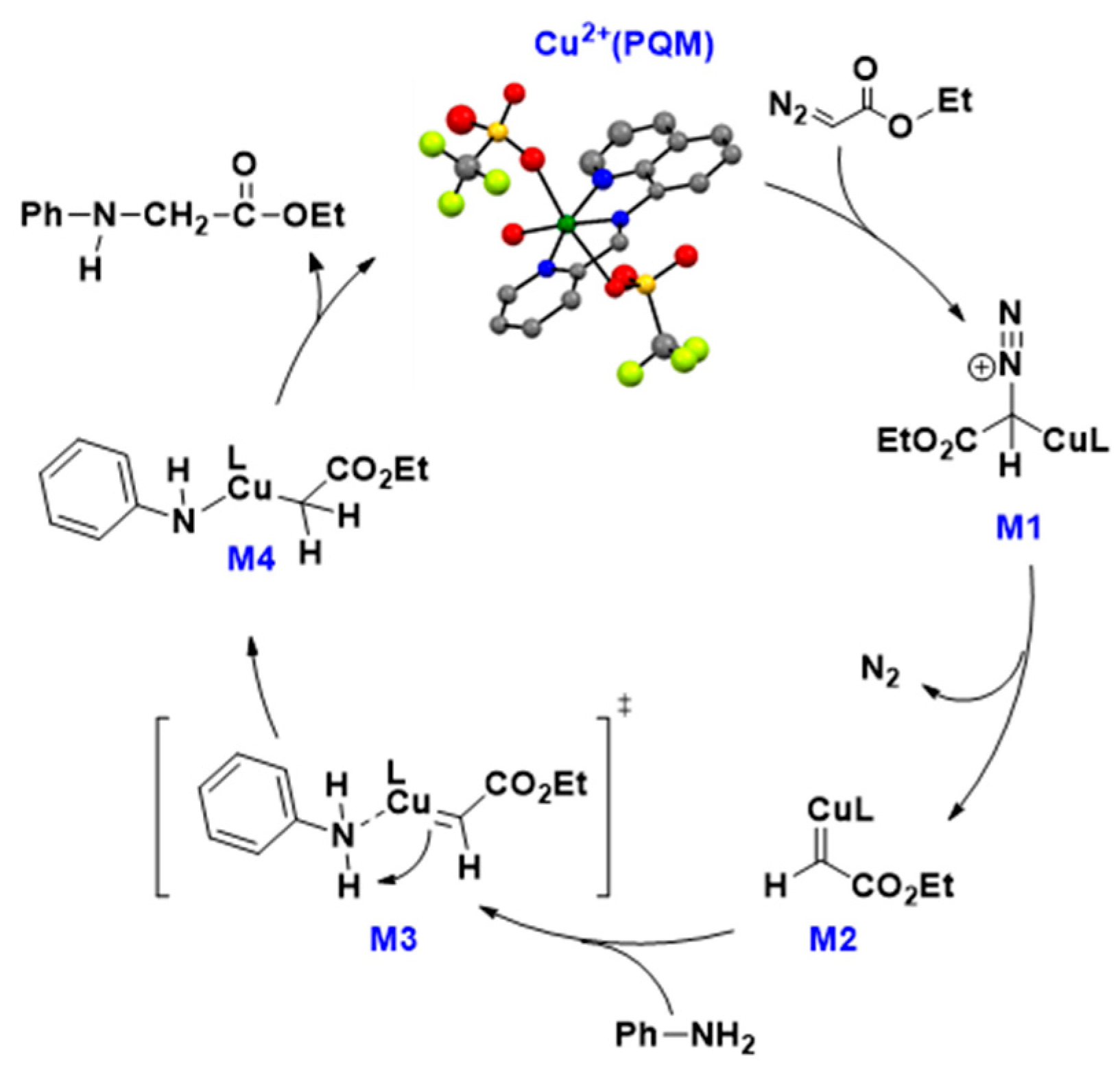 Molecules 29 00730 g004