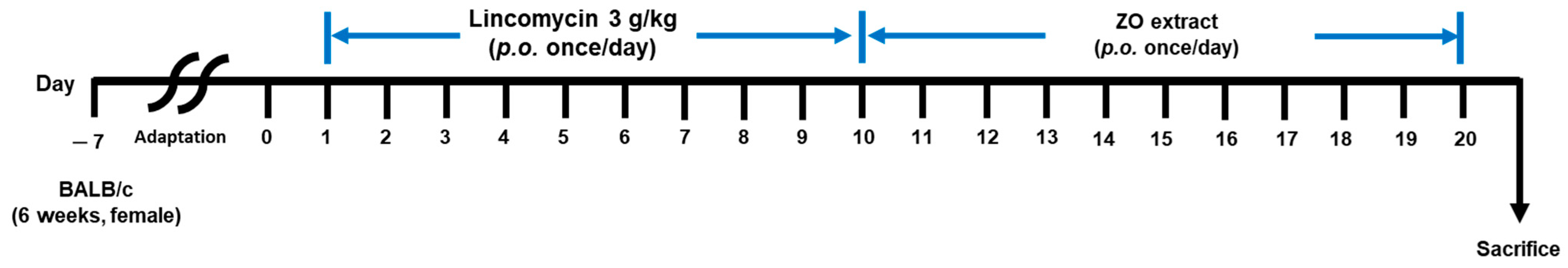 Molecules 29 00732 g005
