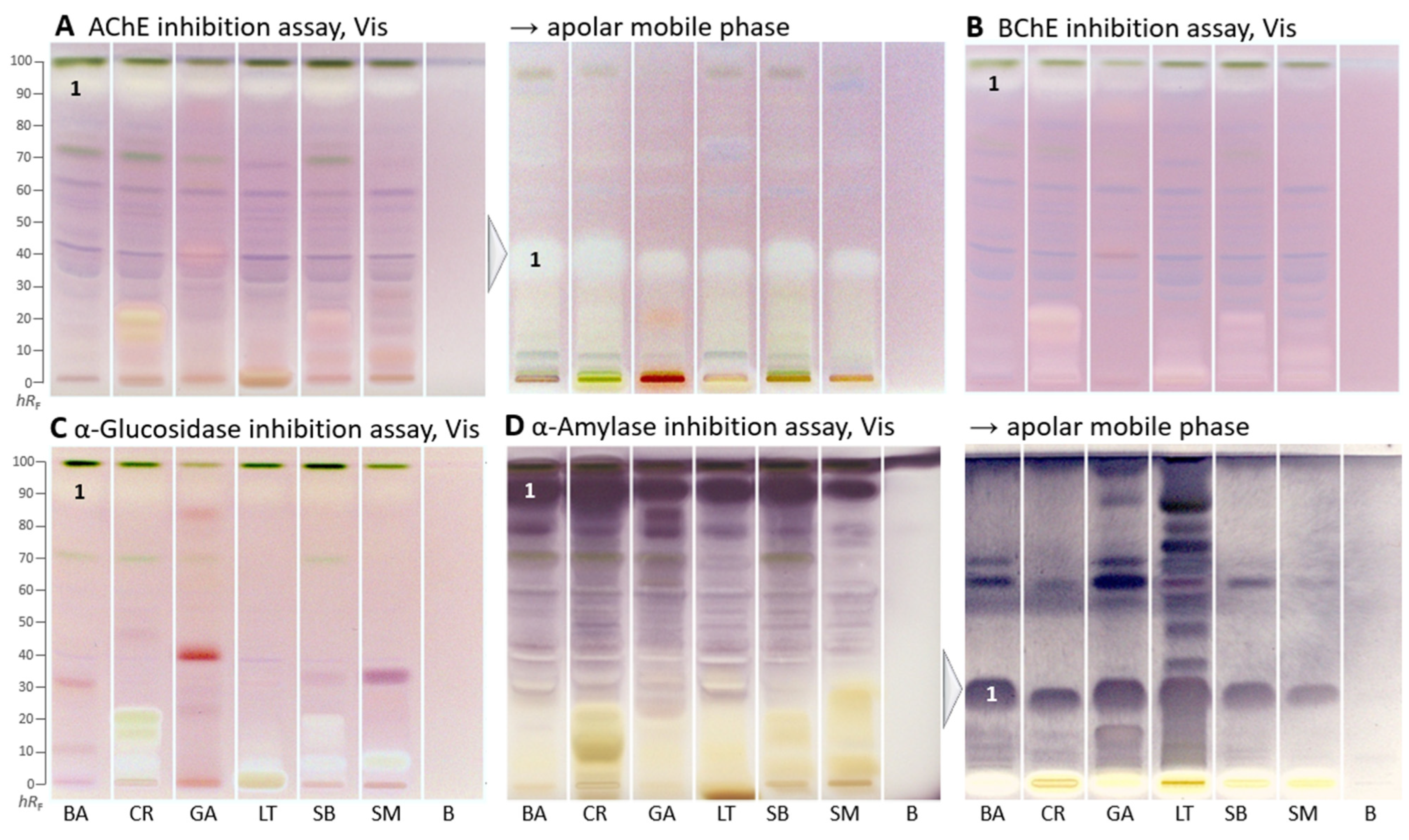 Molecules 29 00733 g002