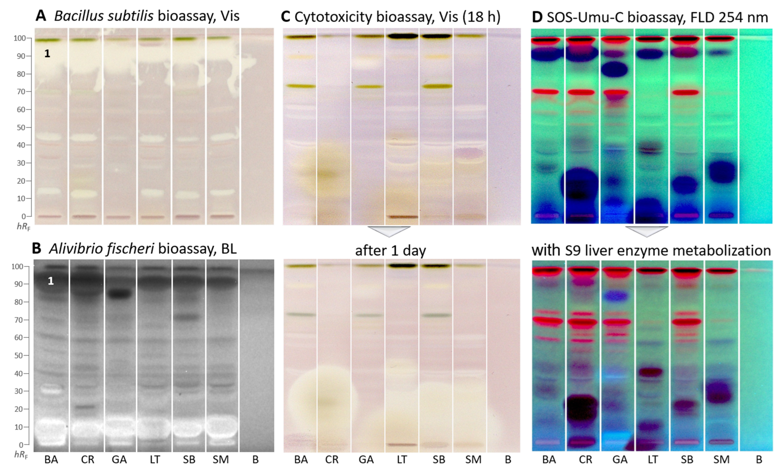 Molecules 29 00733 g003