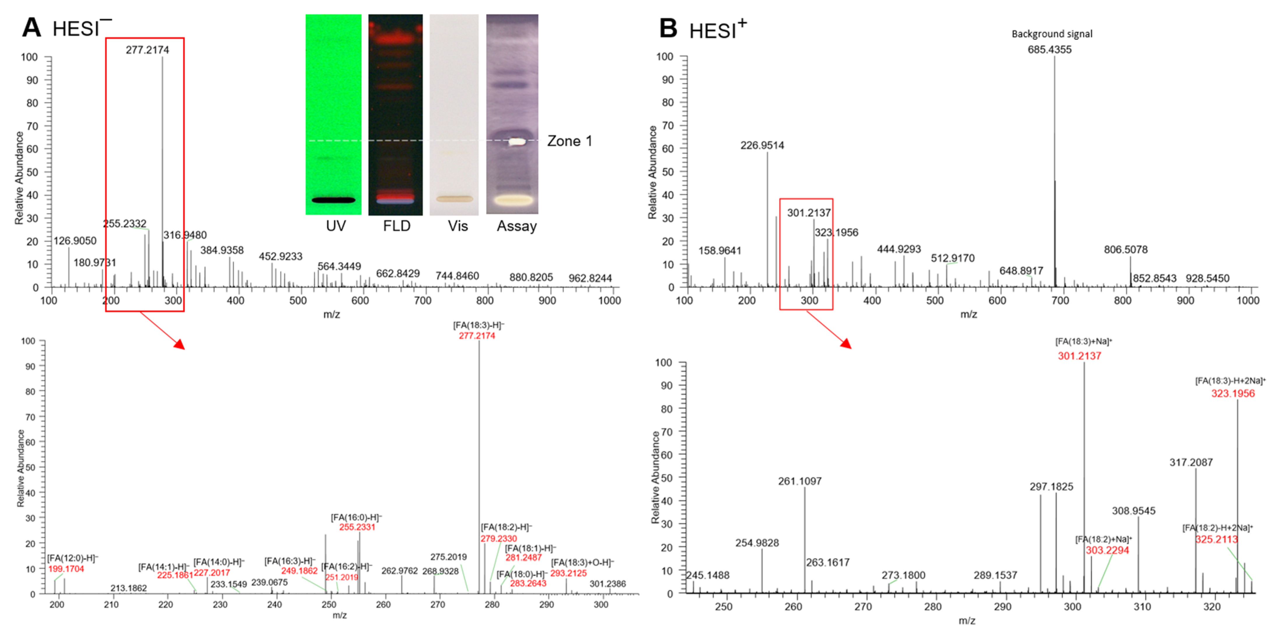 Molecules 29 00733 g004