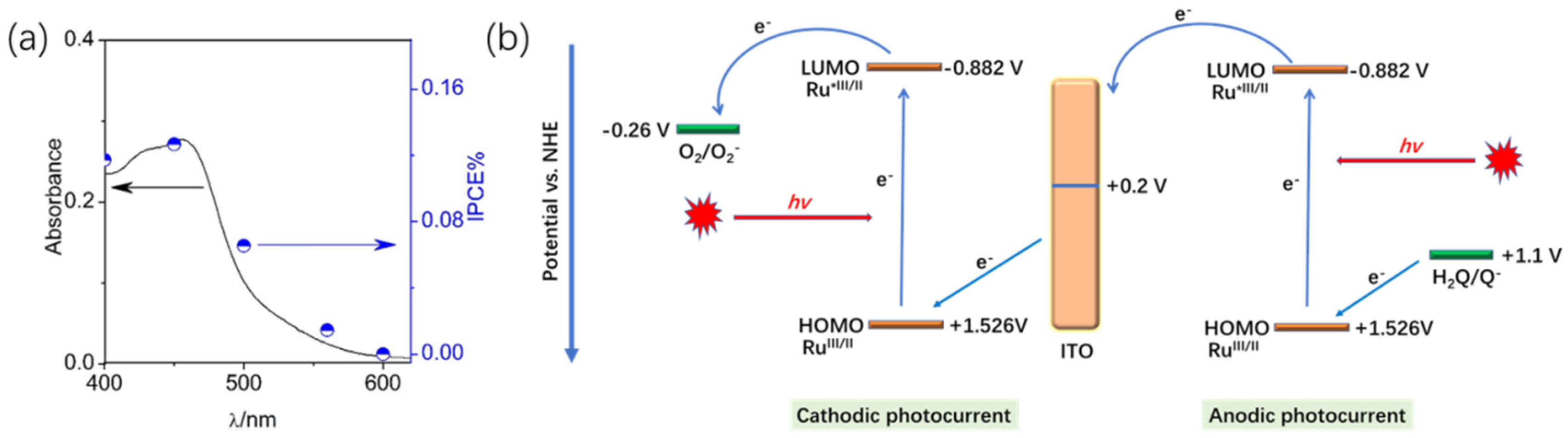 Molecules 29 00734 g005
