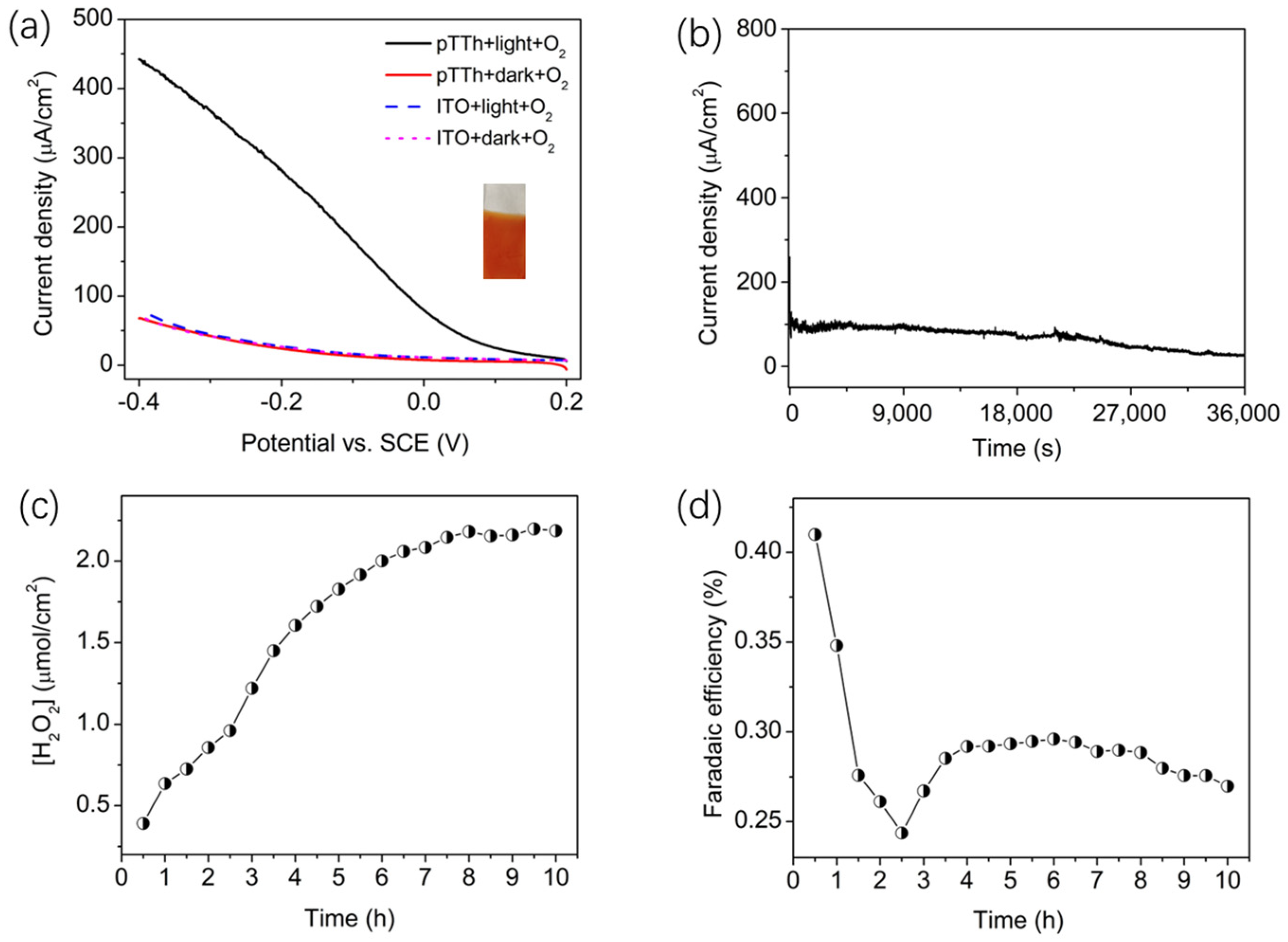 Molecules 29 00734 g008