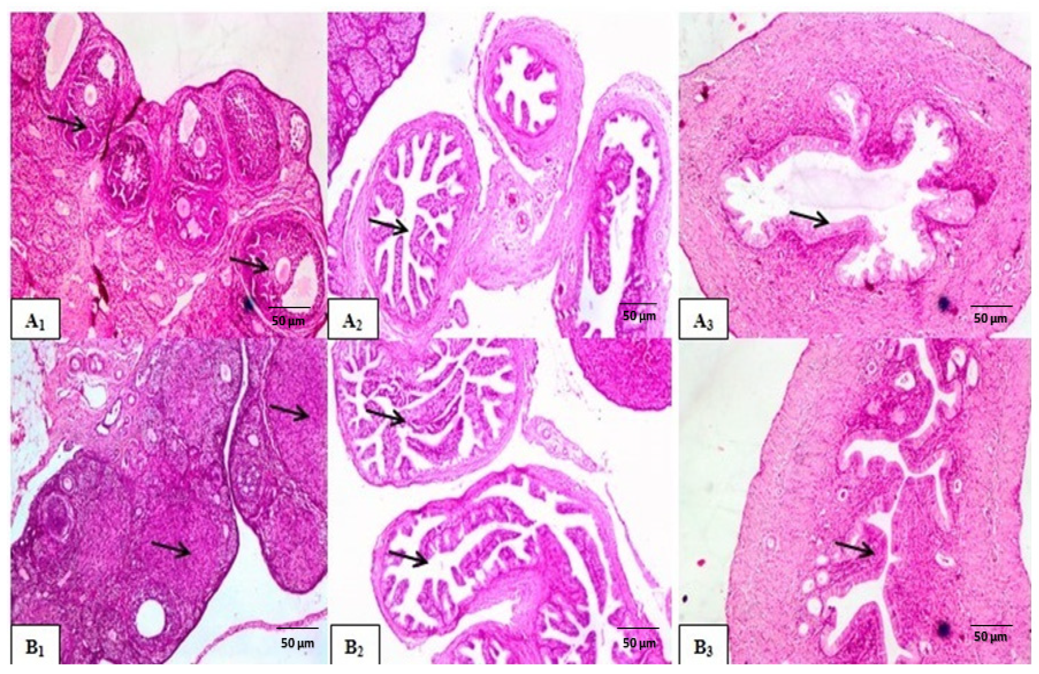 Molecules 29 00735 g004