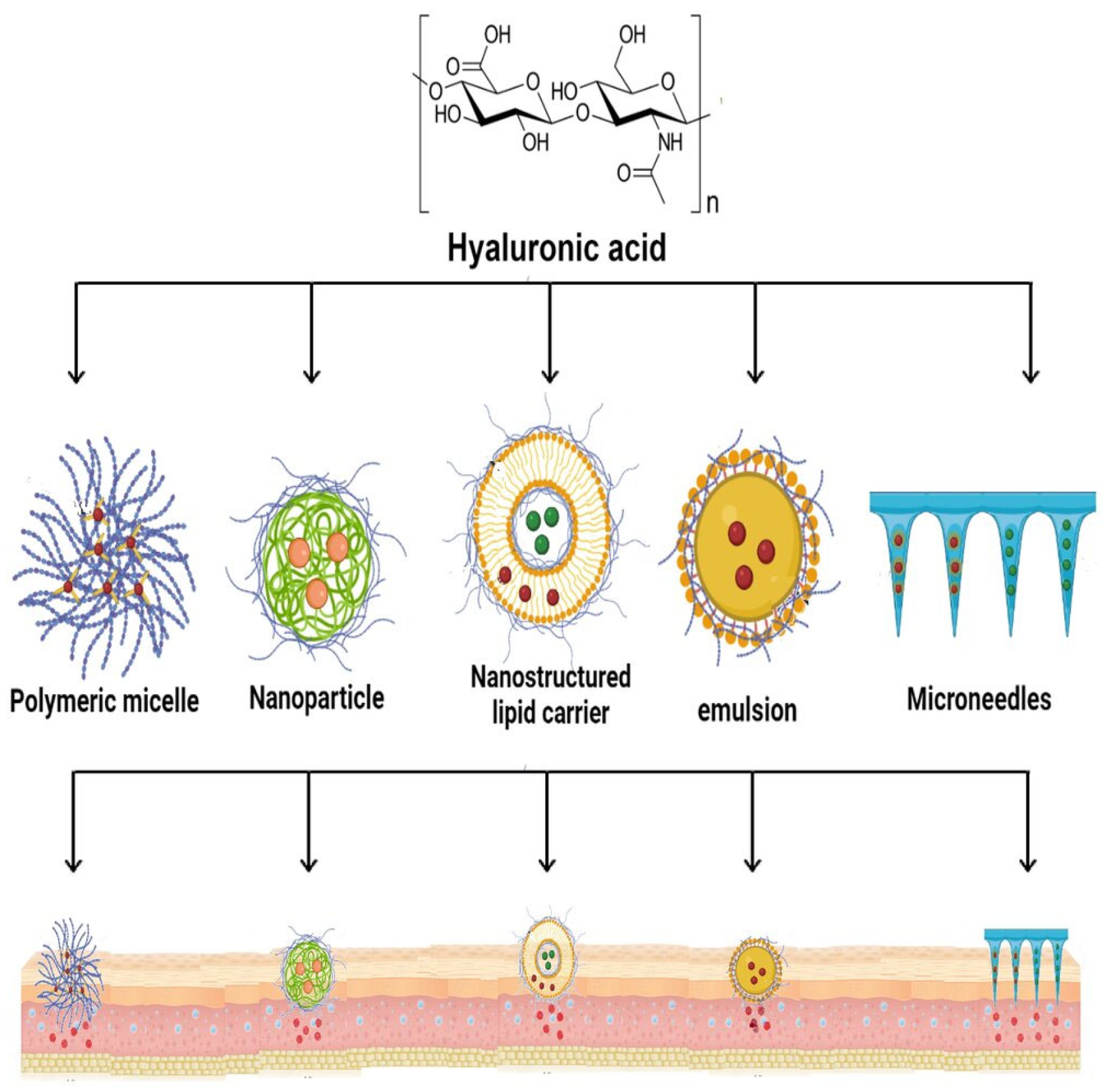 Molecules 29 00739 g004