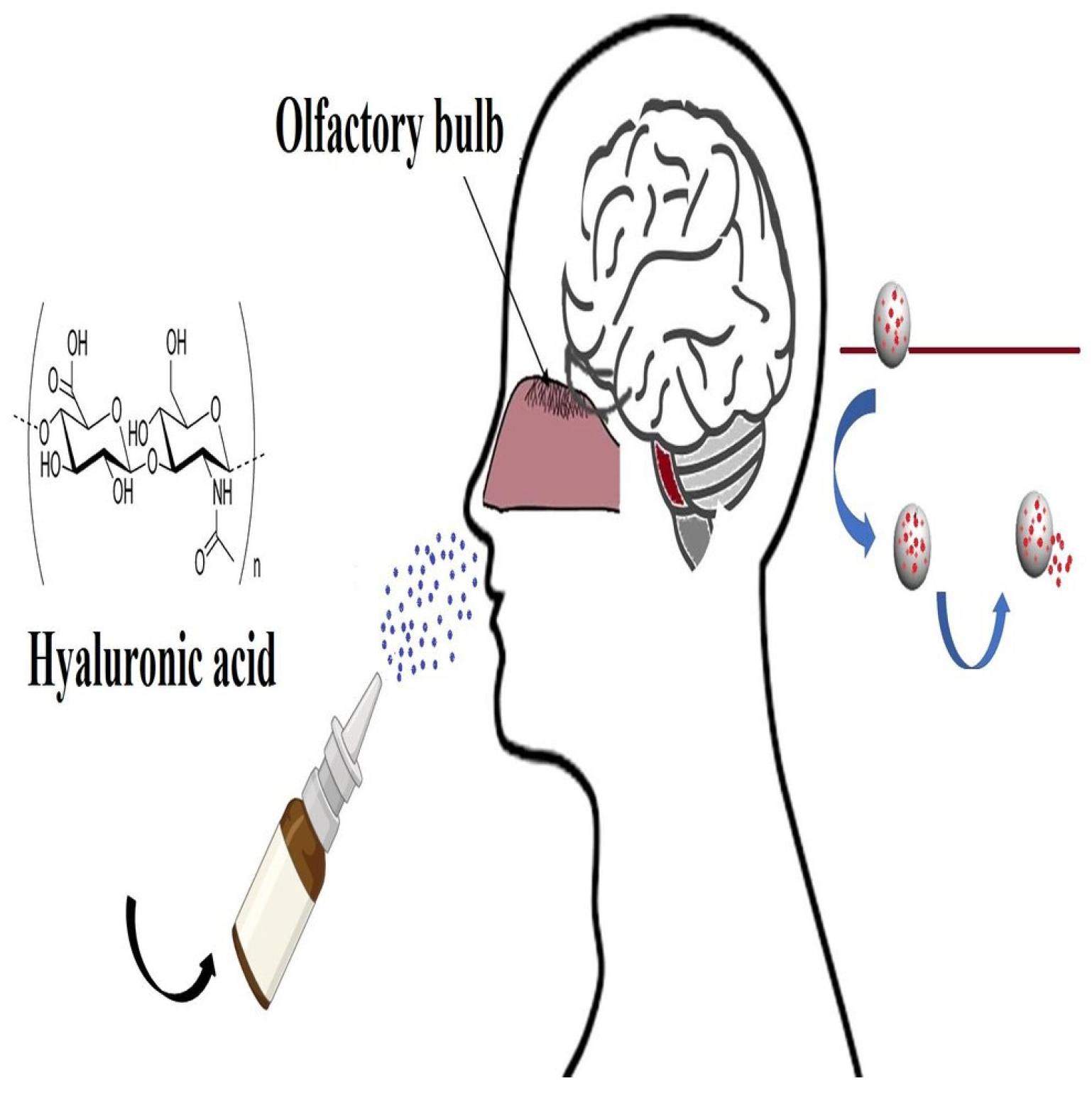 Molecules 29 00739 g005