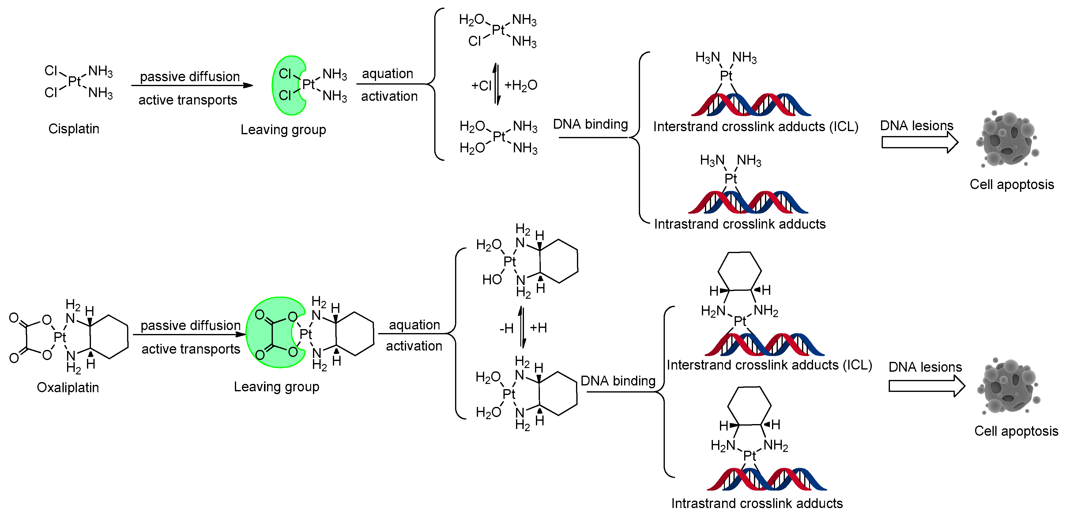 Molecules 29 00746 g002
