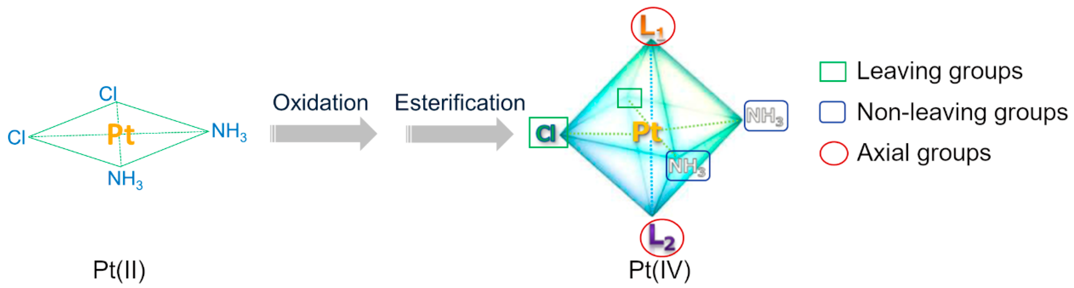 Molecules 29 00746 g004