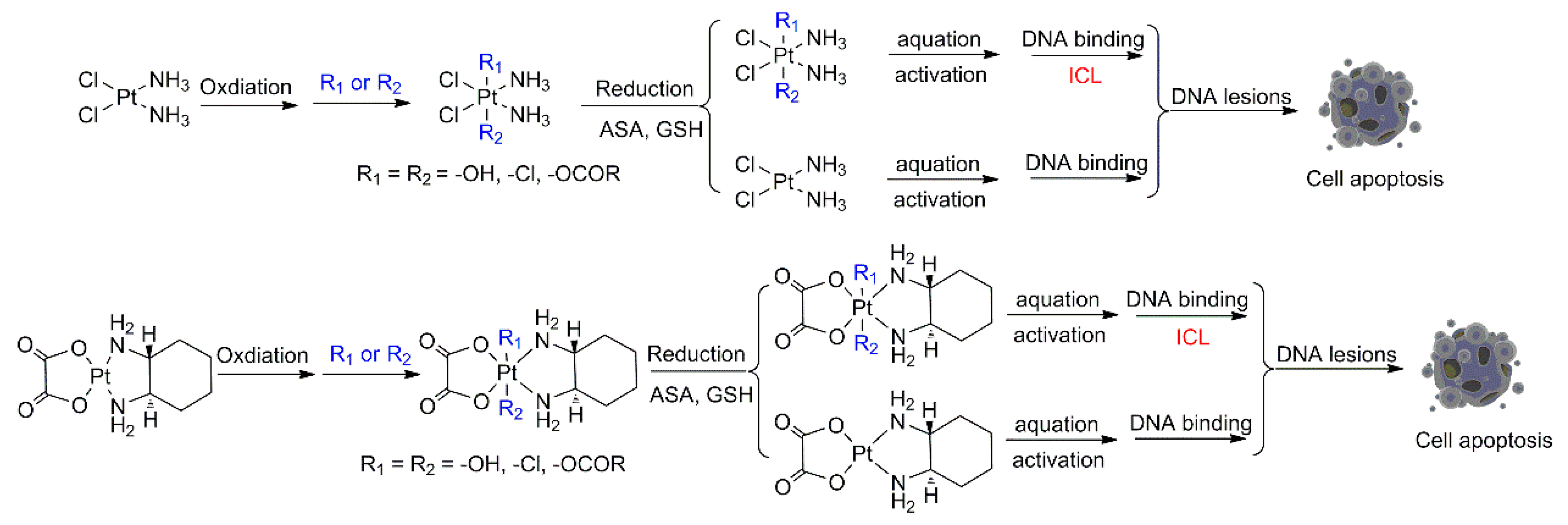 Molecules 29 00746 g005